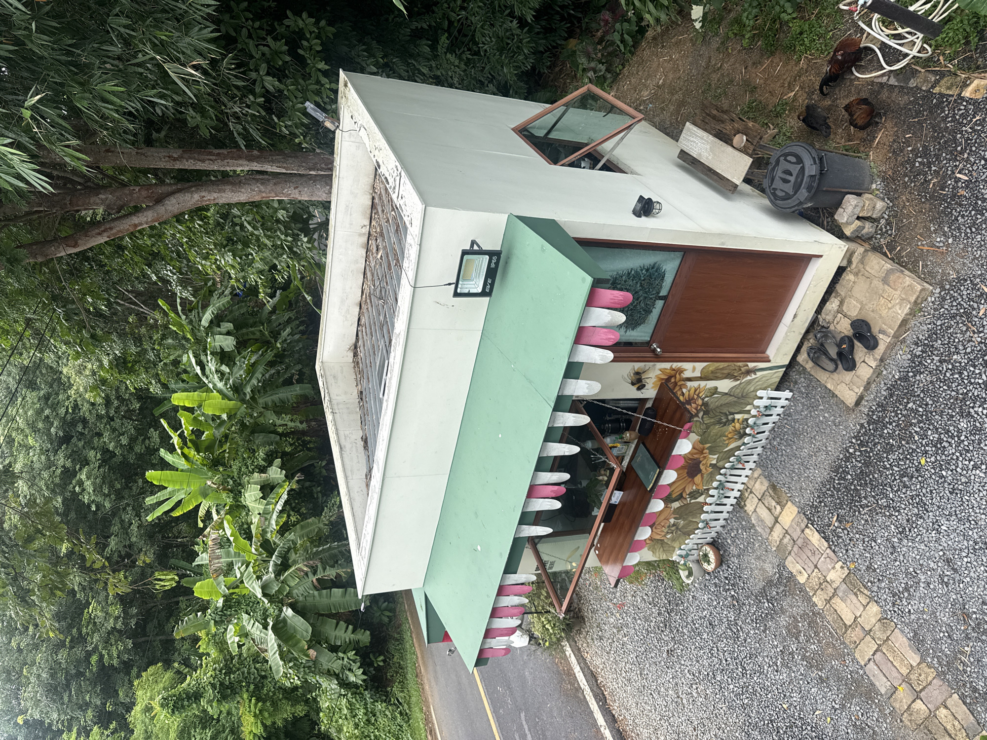 This is an aerial, eye-level, medium shot of a small, modern, white, cube-shaped building with a flat roof, set against a lush, green, tropical forest background. The building appears to be a small shop or cafe, possibly a roadside stand, located on the outskirts of Wichit, Thailand, given the tropical vegetation.
The building features a green awning with pink and white scalloped trim over a service window. A wooden counter is visible beneath the awning. The front of the building has a brown wooden door and a decorative mural depicting sunflowers and bees. A small white picket fence encloses a planter with a small plant. To the right of the door, there is a tilted, square window with an orange frame.
In front of the building, there is a gravel-covered area with a brick pathway leading to the entrance. Several pairs of black shoes are placed on the pathway near the door. To the right of the building, there is a dark gray trash can, a wooden bench, and four chickens. A white hose is coiled near the trash can.
The environment is dense with tropical vegetation, including large-leafed plants like banana trees, and tall trees with rough bark and a canopy of leaves. The sky is overcast. The lighting suggests it is daytime, possibly late afternoon due to the shadows. The image captures a rural or semi-rural setting with a blend of man-made structure and natural landscape.