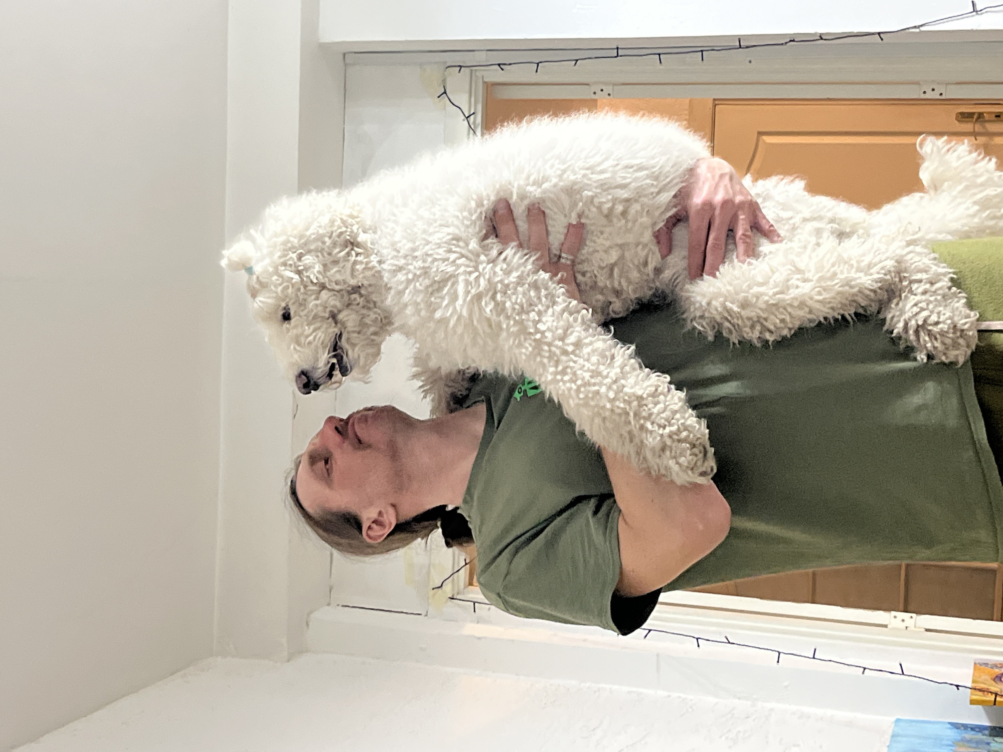 The image depicts an indoor scene featuring one adult male and one dog. The male, with long brown hair secured in a ponytail and a mustache, wears an olive green short-sleeved t-shirt. He is holding a white, curly-haired dog upright with both hands, supporting its torso and hindquarters. The dog has a small light-blue clip or band in the fur on top of its head, and its mouth is slightly open, revealing teeth. Both the male and the dog are looking towards each other. The background consists of white painted walls and a white ceiling. To the right, a light-brown wooden door with a brass-colored handle is partially visible through a white doorframe. A string of dark, unlit decorative lights hangs vertically along the right side of this doorframe. A fragment of a colorful, abstract artwork or object is visible in the lower-left corner. The specific location within the city of Krasnoyarsk, Russia, cannot be determined from the visual information presented.