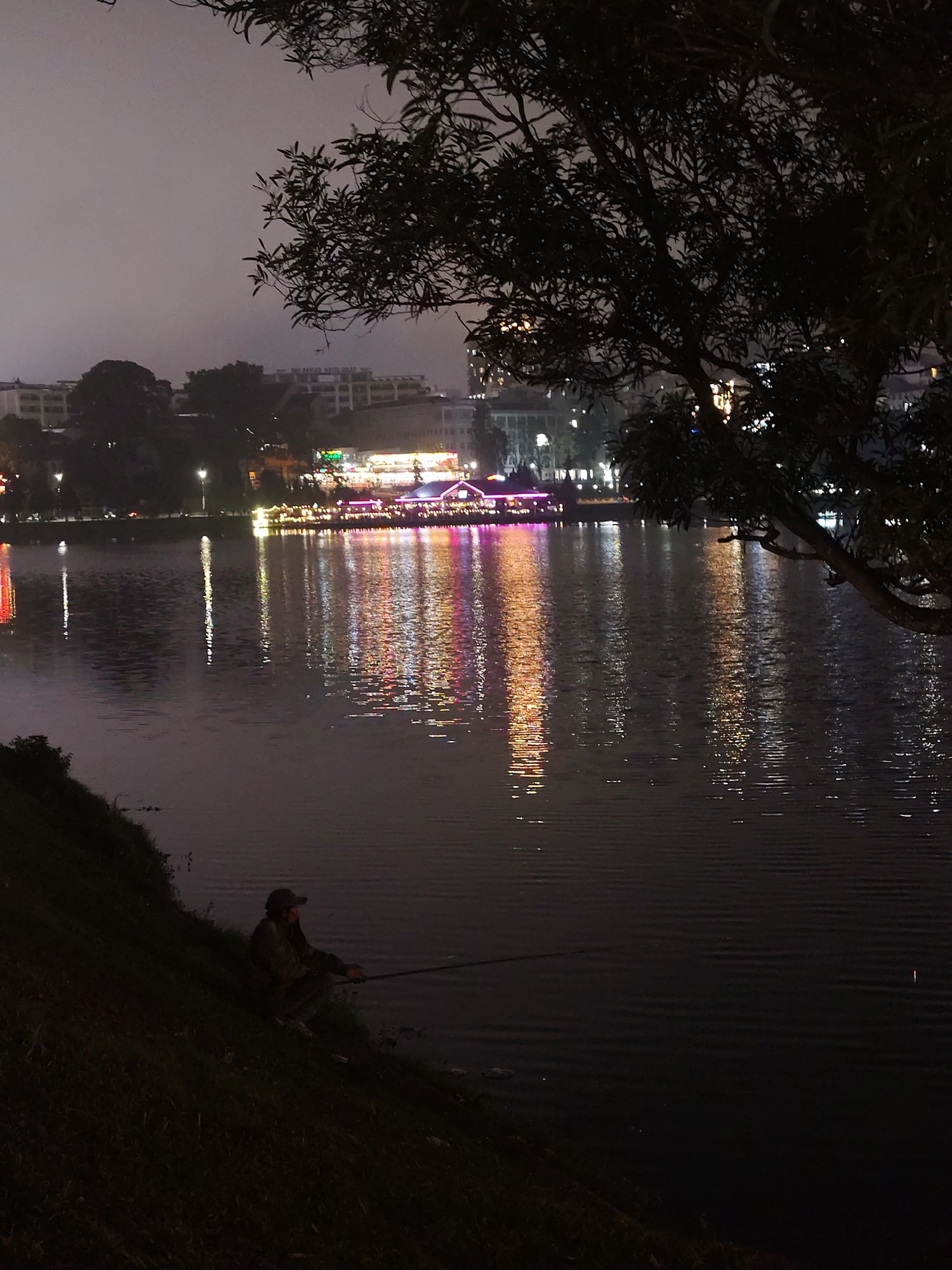 The image depicts a night scene at Ho Xuan Huong Lake in Da Lat, Vietnam. In the foreground, a person is fishing by the lake's edge, sitting on a grassy slope. The lake's surface reflects the lights from buildings and establishments across the water, creating colorful streaks. In the background are buildings and lights. A large tree is present on the right. The sky is overcast.