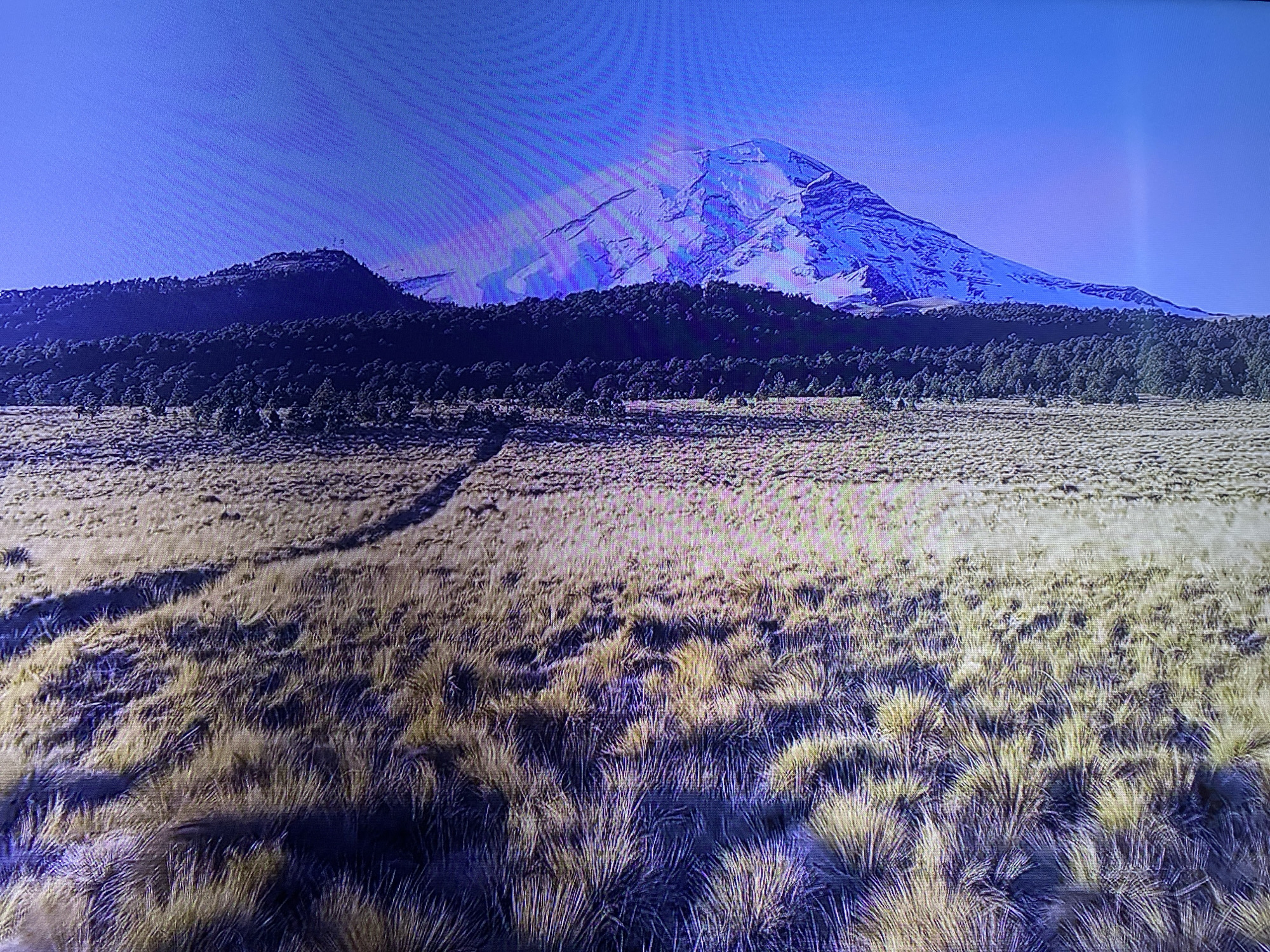 An aerial, medium-shot captures a vast, natural landscape under a clear, bright blue sky. In the distance, a majestic, snow-capped mountain dominates the horizon, its peak illuminated by sunlight, casting shadows across its rugged slopes. A dense forest of dark green trees stretches across the midground, forming a stark contrast with the lighter tones of the mountain. The foreground is a rolling expanse of dry, golden-brown grass, with some areas appearing darker due to shadows. A faint, winding dirt path is visible through the grass, suggesting a trail for passage. The scene appears serene and untouched, evoking a sense of natural beauty and isolation.