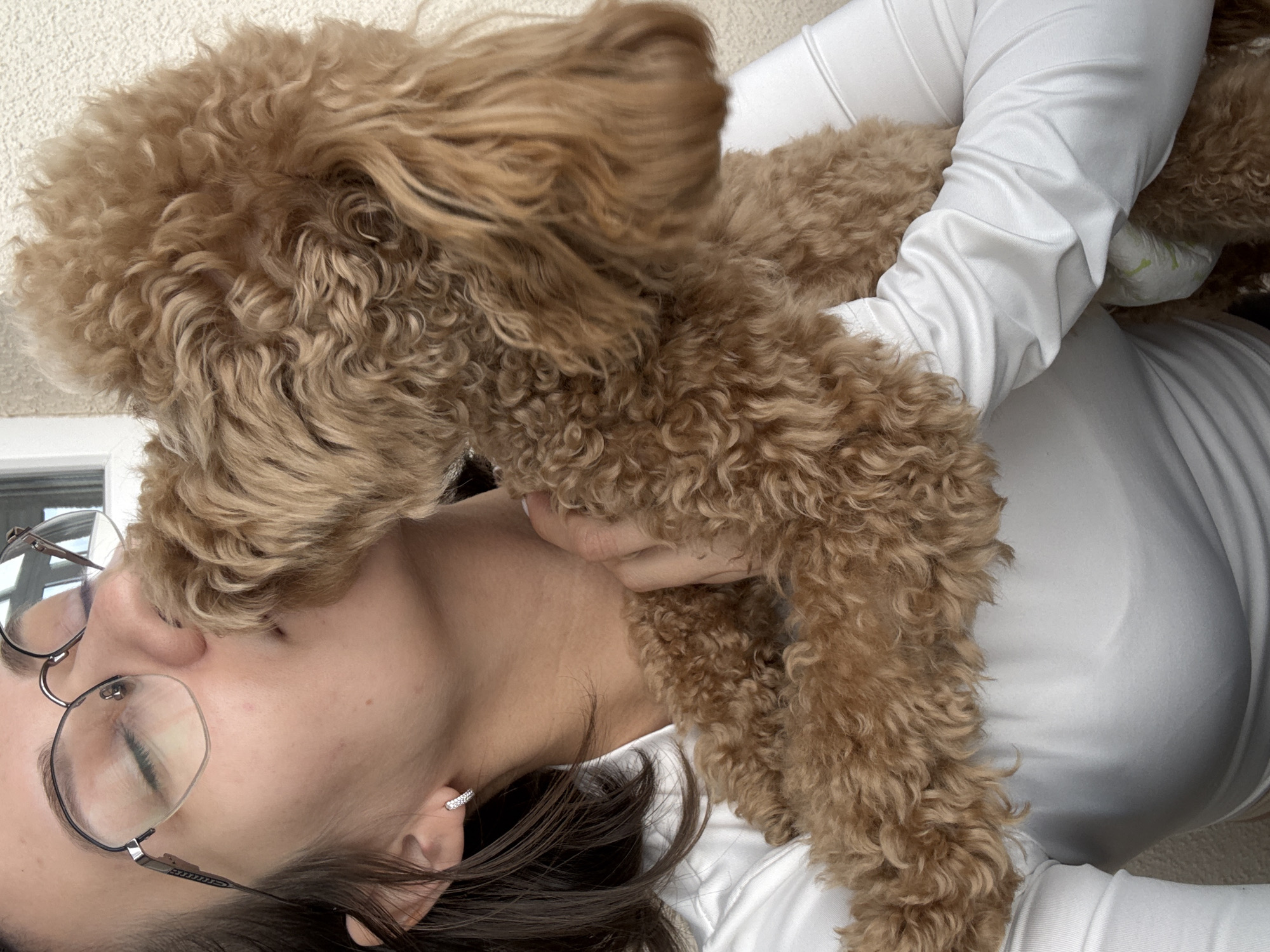 An intimate, rotated portrait-style image captures a moment of affection between a person and a dog. The main subjects are a person, appearing to be female, with dark hair, wearing round glasses and a white long-sleeved top, and a small to medium-sized dog with light brown, curly fur, likely a poodle or doodle breed.
The dog is nestled closely against the person's upper body, with its head turned towards the person's face, appearing to nuzzle or lick their cheek and nose area. The person's eyes are closed, suggesting a moment of tenderness or contentment. Their right arm is visible, wrapped around the dog, holding it close. A sparkling hoop earring is visible on the person's left ear.
The setting is indoors, with a plain, light-colored wall or surface in the background. A faint outline of what might be a white window frame or similar structure is visible in the bottom left corner. The lighting is soft and natural, indicating either a bright daytime interior or well-diffused indoor illumination. The overall mood is one of warmth and affectionate bonding between pet and owner. There is no visible text in the image, and no specific location cues within the image itself that would confirm the Pervomaysky, Russia context.