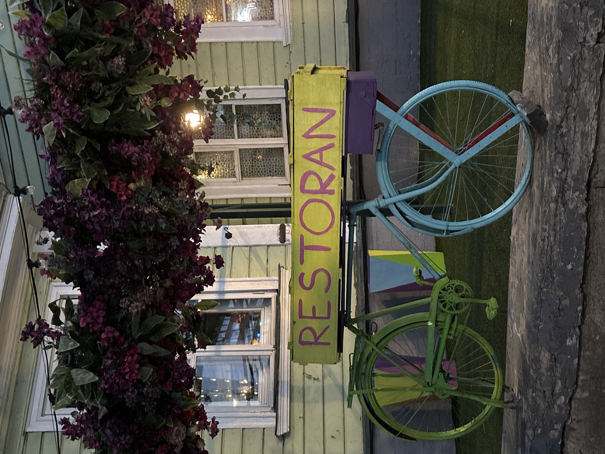 The image displays a vibrant outdoor scene at dusk or night, featuring a decorative, stationary bicycle positioned against a light green wooden building. The bicycle, which appears to be an art installation or sign, has a bright green front wheel and frame, while the rear wheel and a portion of its frame are light blue. A rectangular, neon yellow box sign is mounted above the bicycle's frame, bearing the word "RESTORAN" in bold pink capital letters. A purple box is situated beneath the sign, over the rear wheel. The rear wheel is secured by a red and blue X-shaped support, with its base resting on a dark block. Multicolored panels (green, blue, purple) are visible between the wheels, adding to the decorative aesthetic.
Above the scene, a dense arrangement of hanging artificial foliage with dark red and purple flowers and green leaves is suspended, illuminated by string lights. The wooden building behind the bicycle features horizontal siding and two white-framed windows. The left window reflects ambient lights, while the right window has a patterned glass texture and displays an internal light fixture. A smaller, ornate light fixture is visible on the building facade between the two windows, partially obscured by the hanging plants. The bicycle is situated on a dark, textured stone ledge or low wall. The ground area immediately behind the display is covered with artificial green turf. No people are present in the image. The word "RESTORAN" is Estonian for "Restaurant," indicating the scene is located at a restaurant in Tallinn, Estonia.