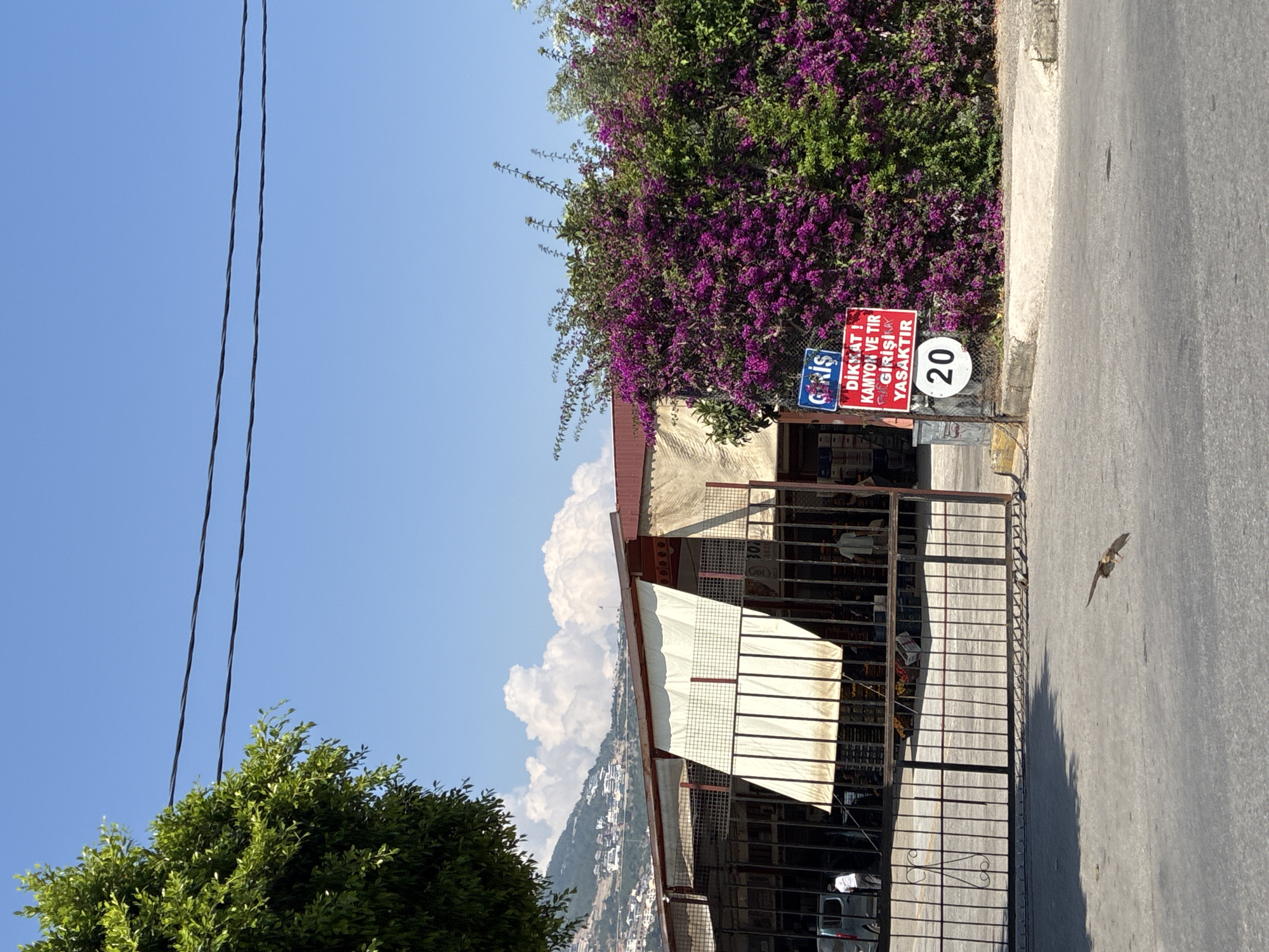 This is a photograph of a busy street in Alanya, Turkey, near a commercial area. The foreground shows a grey asphalt road with a small bird in flight. In the midground, a large, ornate metal gate leads into a property. Beyond the gate, a long, open-sided building with a red roof and white awnings is visible. Several people are seen inside and around the building. To the right of the gate, a vibrant bush covered in purple flowers stands tall. Attached to a fence post near the bush are three signs: one with blue lettering that says "GİRİŞ" (Entrance), a red and white sign with Turkish text that reads "DİKKAT! KAMYON VE TIR GİRİŞİ YASAKTIR" (Caution! Truck and Trailer Entry Forbidden), and a white circular sign with the number "20" indicating a speed limit. In the background, a hillside dotted with houses and greenery rises under a bright blue sky with scattered white clouds. The overall scene suggests a commercial or industrial area on a sunny day.