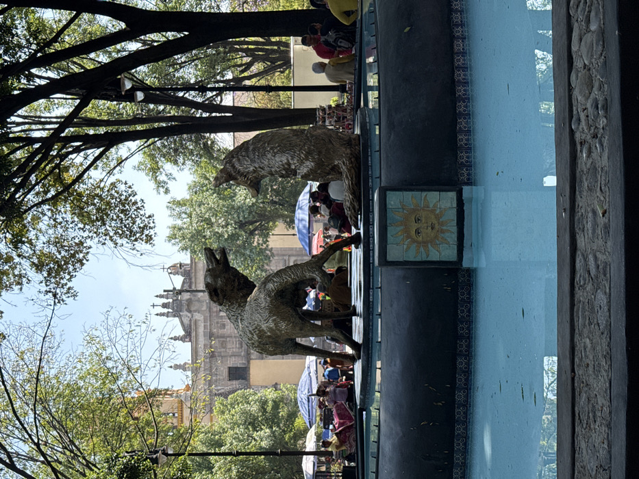The image depicts the Fuente de los Coyotes in Jardín Centenario, Coyoacán, Mexico City, under a clear, bright daylight sky. In the foreground, a multi-tiered fountain contains light blue water. The dark gray, circular upper tier supports two bronze-colored coyote statues: one is posed standing, head raised and turned to the left, as if howling; the other is seated, head raised and turned to the right. The lower tier of the fountain is also dark gray, featuring a square tile with a stylized yellow sun face design. In the mid-ground, behind the fountain, numerous people are visible, some seated under various colorful market umbrellas (blue, white, red, and yellow), suggesting a public market or gathering. The background is dominated by the stone facade of the Parroquia de San Juan Bautista church, identifiable by its ornate architecture, central dome, and crosses atop its spires. Lush green trees with dark trunks frame the scene on both sides and overhead, indicating a park or plaza environment.