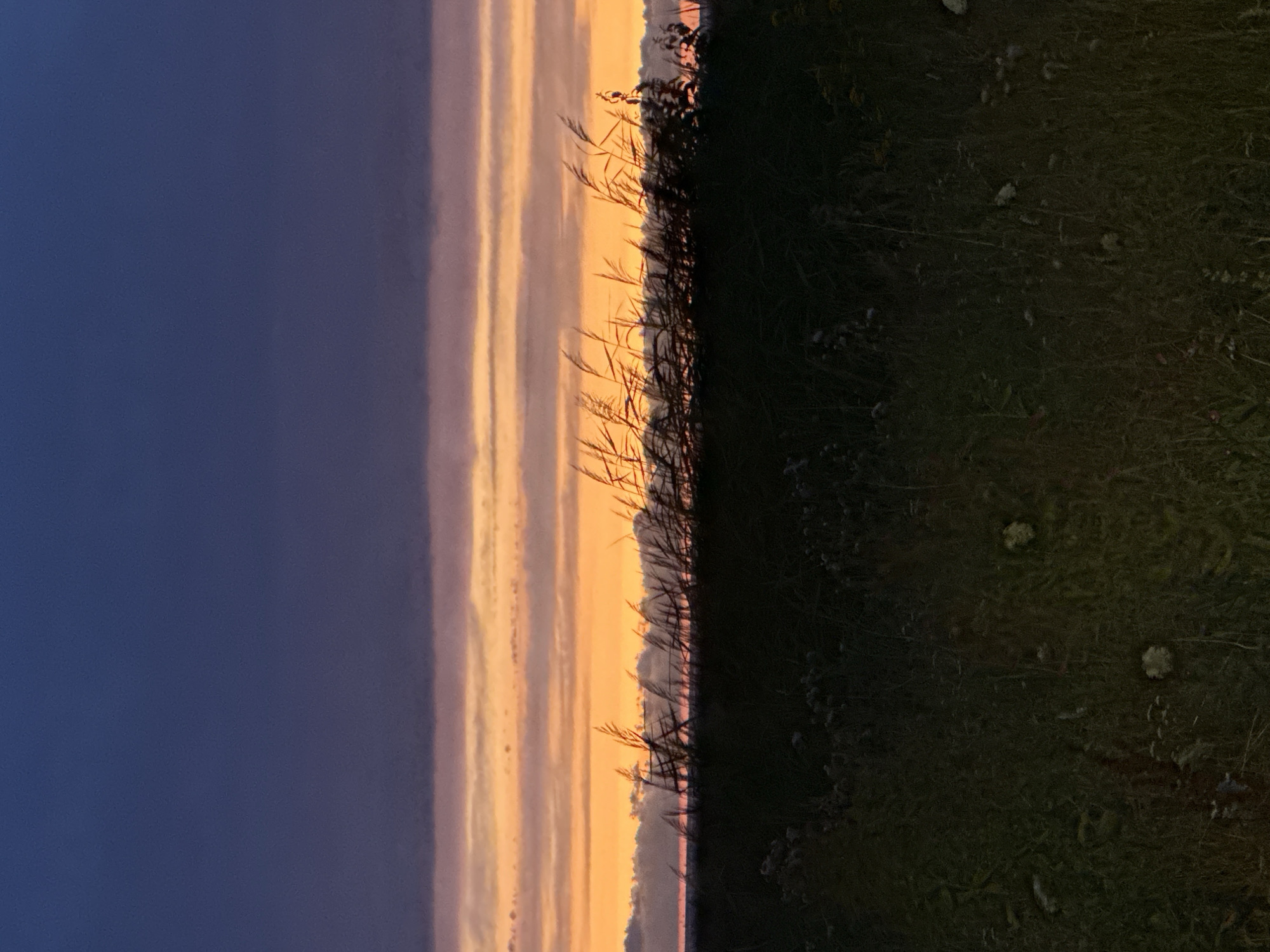 The image depicts a serene sunset over a natural landscape, possibly a meadow or field, with silhouetted grasses in the foreground. The sky is a gradient of colors, transitioning from a deep, dark blue at the top to bands of vibrant orange and soft yellow near the horizon. Thin, horizontal clouds add texture to the sky, catching the warm hues of the setting sun. The lower portion of the image is dominated by dark, lush vegetation, with some lighter wildflowers sparsely scattered throughout. The overall impression is one of twilight tranquility. The provided hints do not offer any specific details to ascertain a location within Tallinn, Estonia, or any presence of people, subjects, objects, actions, or interactions.