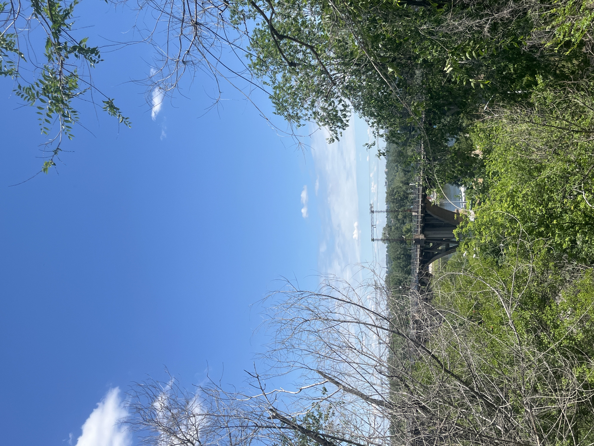 The image captures a view through foliage of a bridge crossing a body of water, likely the Dnipro River in Dnipro, Ukraine. The bridge appears to be constructed of concrete and steel, with multiple arches. Overhead, power lines stretch across the frame, supported by tall pylons. The sky is a clear blue with scattered white clouds. The foreground is dominated by the branches of trees, some bare and others covered in green leaves, creating a natural frame for the distant scene. The overall impression is one of a sunny day with a blend of natural and industrial elements.