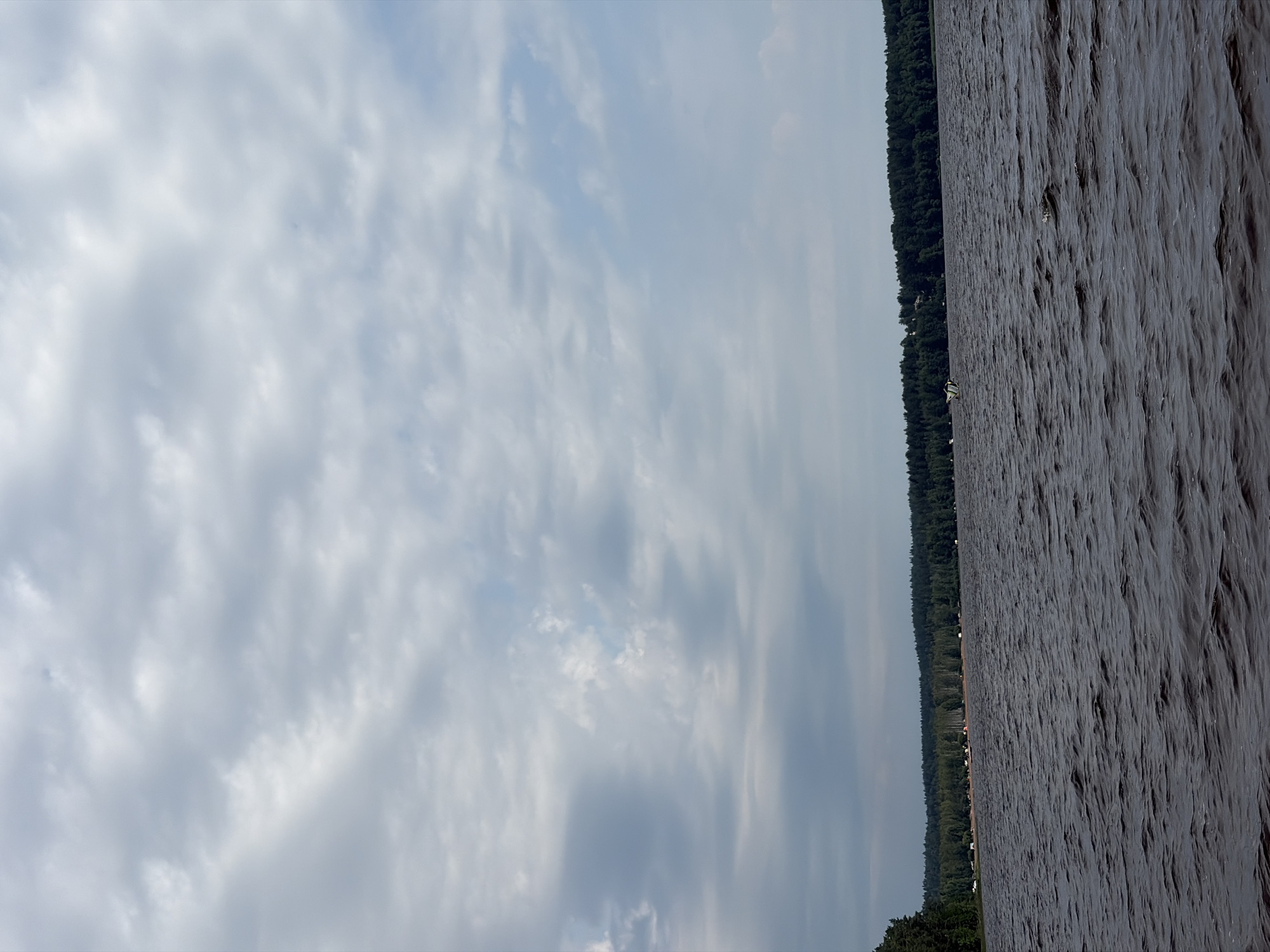 A wide-angle, eye-level, full outdoor shot captures a serene view of a lake under a cloudy sky. The dark, choppy water fills the foreground, with ripples and waves suggesting a light breeze. In the mid-ground, a densely forested shoreline stretches horizontally across the frame, dotted with a few small buildings visible in patches between the trees, indicating a human presence. The trees are a mix of dark green coniferous and lighter green deciduous species. The sky is dominated by a vast expanse of gray and white clouds, with occasional breaks of pale blue sky. The overall atmosphere is calm and natural, suggestive of a peaceful day by the water. The scene is consistent with a location in the Vaskelovo, Russia area, known for its natural beauty and lakes.