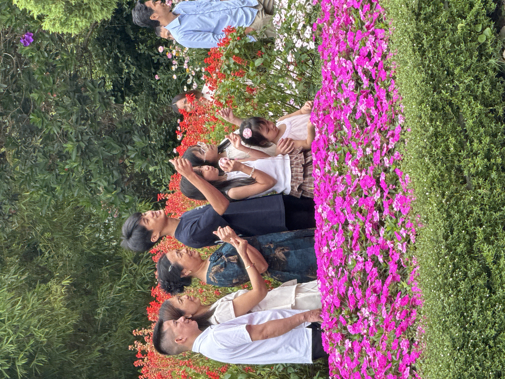 In a vibrant floral garden in Da Lat, Vietnam, a group of people stands amongst a profusion of pink and red flowers, with lush green foliage forming a verdant backdrop. The scene captures a family outing, likely a tourist visit, with individuals of various ages posing and interacting.
In the foreground, a dense hedge of low-lying green bushes is topped by a spectacular display of bright pink impatiens flowers. Behind these, a row of tall, red salvia flowers adds a striking contrast. Further back, a variety of other flowers, including white and pink varieties, are visible. The background is dominated by dense bamboo and other green trees, creating a natural and serene atmosphere.
The people are clustered together, with several individuals prominently featured. On the left, a man in a white polo shirt is looking to the side. Next to him, a woman in a cream-colored dress smiles. Following them is an older woman in a dark patterned dress, also smiling and looking towards the camera. A young man in a dark t-shirt is in the center, looking up and to the side. To his right, a young girl in a white tank top and plaid skirt is holding a pink camera. A younger child in a light pink dress sits at the front, looking down. Further to the right, a man in a blue collared shirt is partially visible.
The overall impression is one of joyful family exploration in a beautiful natural setting. The vibrant colors of the flowers and the relaxed demeanor of the people suggest a pleasant day spent enjoying the scenery and perhaps documenting memories with photographs.