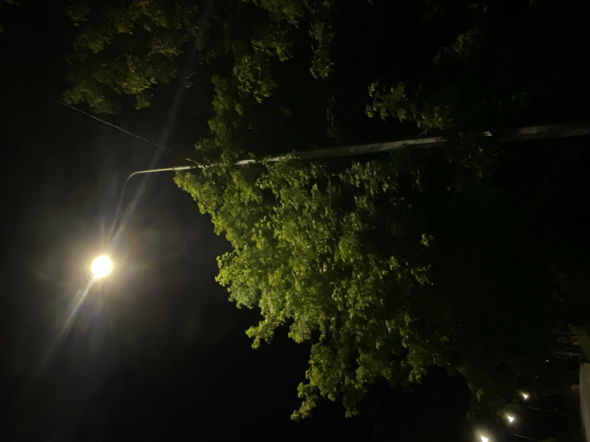 This media file presents a nighttime scene in Красные Баки, Russia. The primary subjects are a brightly illuminated street light and a tree with green foliage. The sky is dark, indicating it is nighttime, and the weather appears clear.
The street light, located on the left side of the frame, is a prominent source of light, emitting a strong, yellowish-white glow with visible lens flares. Its light illuminates the dense canopy of a tree, highlighting its green leaves, which are concentrated in the upper and right sections of the image. A thin cable or wire runs diagonally across the dark sky, passing behind the tree and the lamppost's arm. In the bottom right corner, several smaller, fainter points of light can be seen, possibly from other distant lights or decorative elements. The image focuses on the contrast between the artificial light and the surrounding darkness, bringing out the vibrant green of the foliage. No human activity or visible text is present in the scene.
