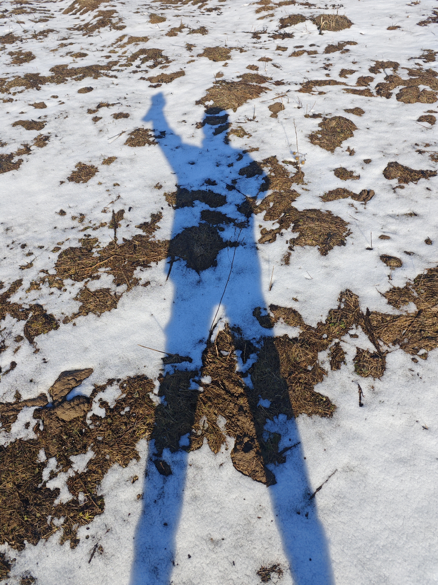 The image shows a shadow of a person on a snow-covered field. The person's shadow is oriented towards the top of the image and has one arm raised. The ground is partially covered in snow, with patches of bare earth and dead vegetation visible. The location is Прикамский, Russia, based on the prompt's specifications.