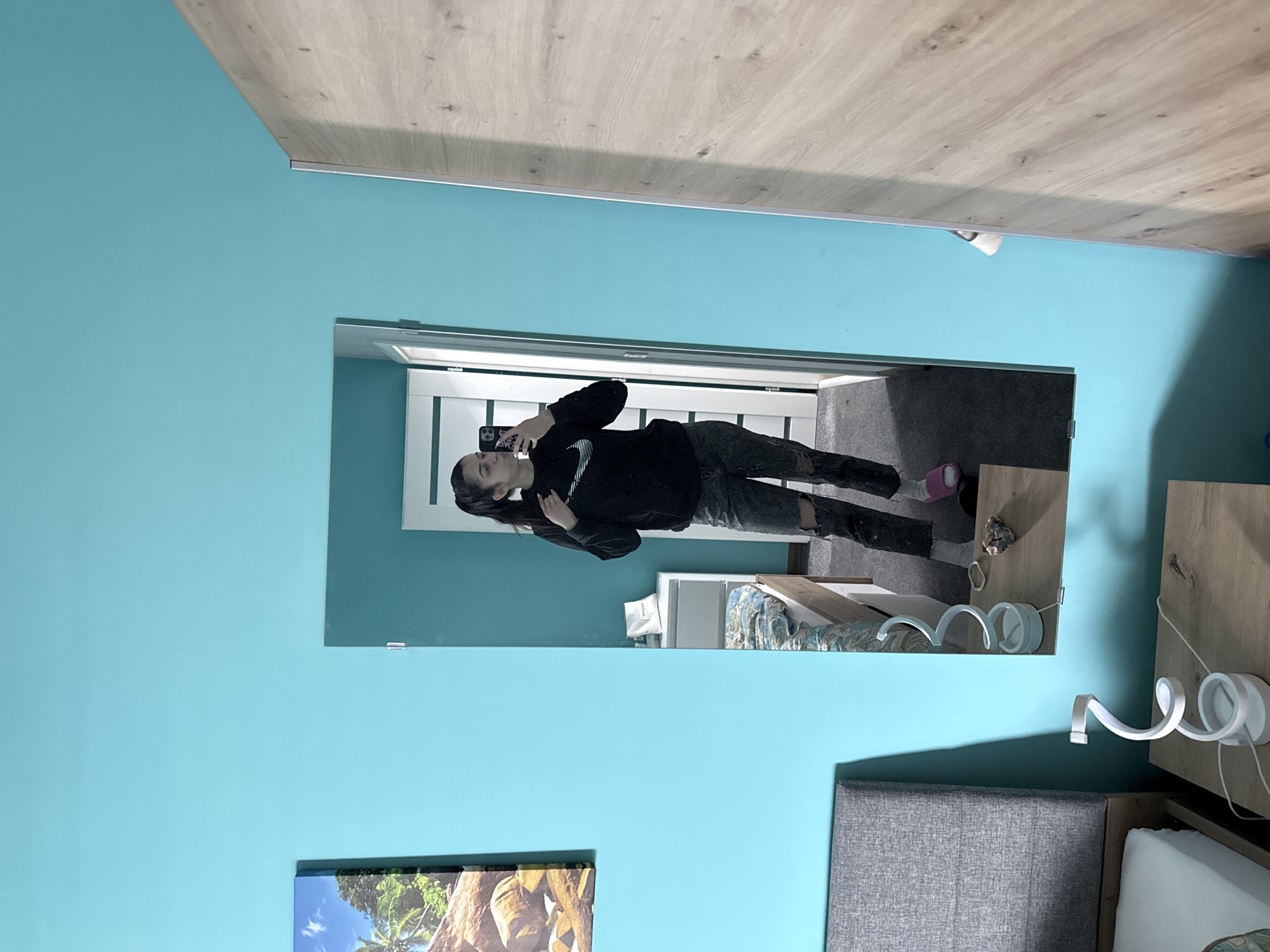 The image shows a mirror reflection of a young woman standing in what appears to be a bedroom or living space. She is holding a mobile phone and appears to be taking a selfie in the mirror. She is wearing a dark hooded sweatshirt and jeans. The reflection shows elements of the room including a bed with a patterned bedspread, a nightstand, and a lamp mounted on the wall. The wall is painted a light blue color. The original scene includes a painting on the wall below the mirror and the side of a bed.
Given the visual information, it's impossible to pinpoint the exact location in Sofia, Bulgaria. However, the image depicts a generic interior scene that could exist in any residential space. Without further context or distinctive landmarks within the scene, determining the specific location in Sofia is not possible.