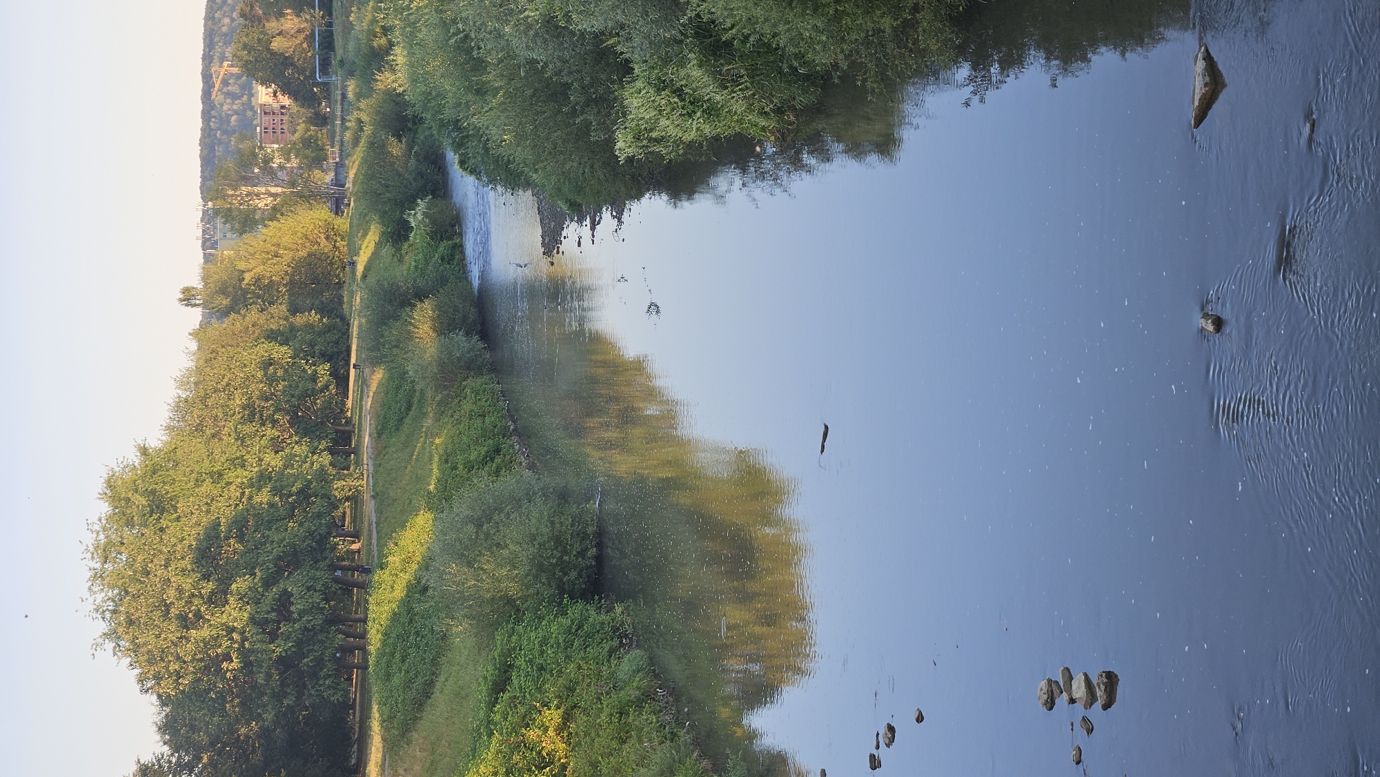 The image depicts a tranquil river flowing through a park-like setting, likely in the city of Prešov, Slovakia. The sun is low, casting a warm glow on the lush green trees and vegetation lining the riverbanks. In the background, buildings and a construction crane are visible, suggesting the presence of urban development near the natural landscape. The river's surface reflects the sky and trees, creating a serene and peaceful atmosphere. A solitary heron stands in the shallow water, adding a touch of wildlife to the scene. Several rocks are scattered along the riverbed and submerged in the water, some forming small cairns. The overall impression is one of a picturesque and idyllic location, possibly a popular spot for recreation and relaxation.