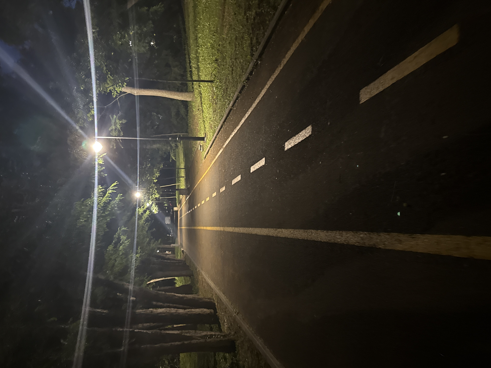 The image depicts a paved path or road at night, likely in a park or recreational area. The path is illuminated by streetlights, creating a distinct glow and lens flare effects. The surface of the path is dark asphalt, marked with white dashed lines and a solid yellow line. On either side of the path, there are trees with dark trunks and leafy canopies. Beyond the trees, there are grassy areas. The sky above is dark, suggesting nighttime.
This scene is located on the alleyway leading to the "Morsko Kashtane" (Sea Chestnut) area on the Burgas Sea Garden. The Sea Garden is a large, well-maintained park located along the coast of Burgas, Bulgaria, famous for its promenades, gardens, and recreational facilities. The specific location is identifiable by the characteristic layout of the pathways, lighting, and the presence of mature trees common in this area.