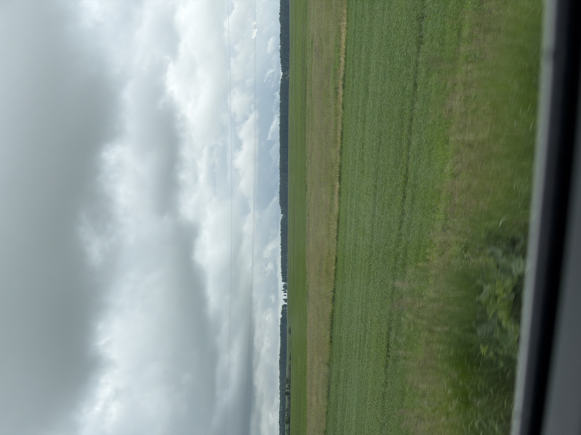 The image displays an expansive rural landscape under a heavily overcast sky, characteristic of the area near Akkuzovo, Russia. The upper half of the frame is dominated by a dense formation of grey stratocumulus clouds. Three thin, dark utility lines traverse horizontally across the upper mid-section of the image, superimposed against the sky and the distant treeline. Below the sky, a continuous, dark green band of trees or forest forms the horizon line. In the mid-ground, agricultural fields of varying green hues stretch toward the horizon. A distinct lighter green or yellowish-brown field occupies the central portion of the mid-ground, bordered by darker green fields that appear to be cultivated crops. A cluster of trees is visible in the distance within the lighter field. The immediate foreground exhibits blurred green vegetation, indicating the photograph was taken from a moving vehicle. No individuals, animals, or artificial structures other than the utility lines are discernible within the scene.