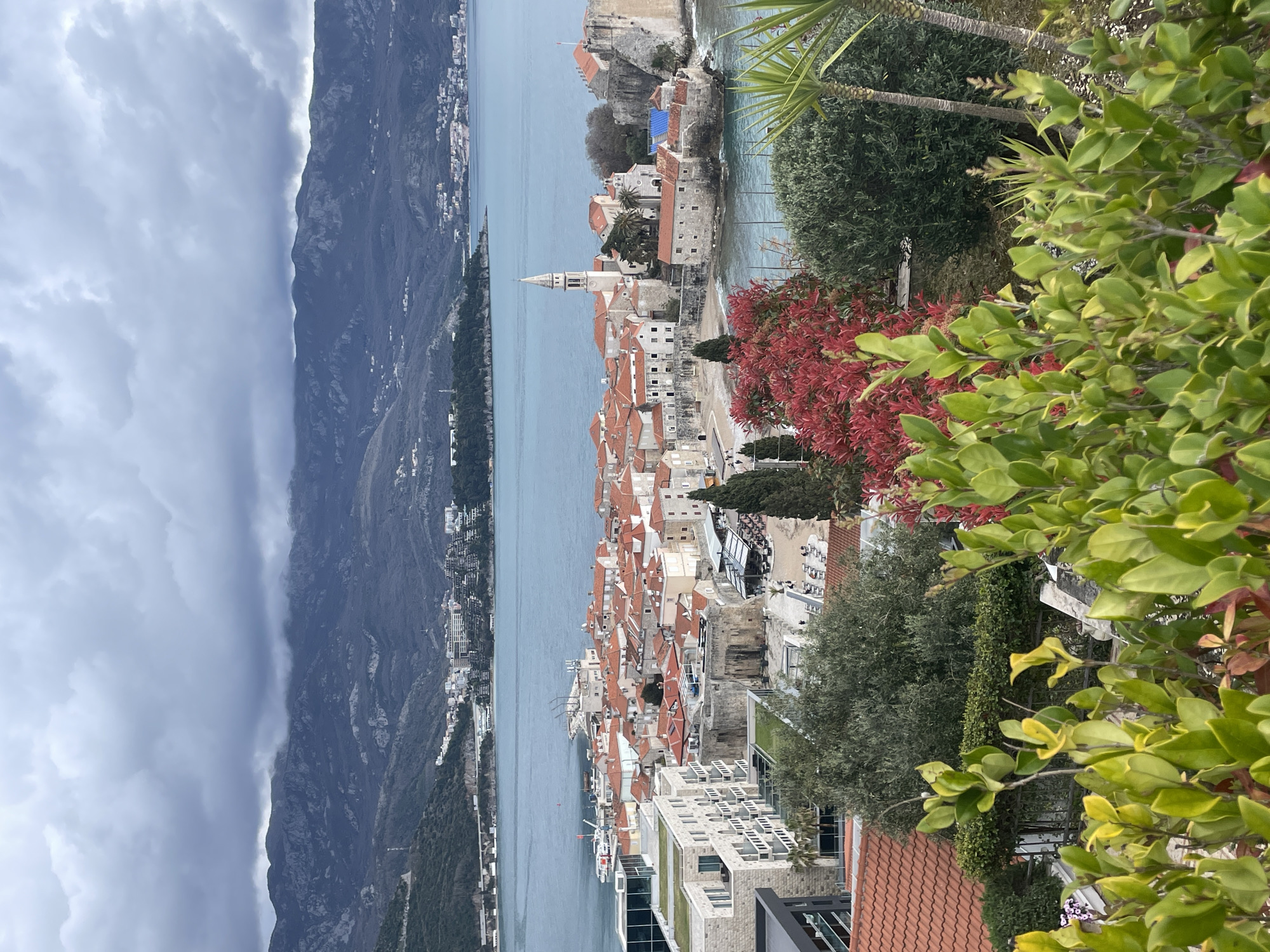 The image presents an elevated panoramic view of the Old Town (Stari Grad) of Budva, Montenegro, situated on a peninsula in the Adriatic Sea. The sky above is entirely overcast with heavy, dark grey clouds.
In the immediate foreground, dense green and red foliage from various shrubs and trees, including a bright red-leafed bush and visible palm trunks on the right, partially obscures the lower portion of the scene. Below this foliage, sections of terracotta-tiled roofs and the light-colored facade of a multi-story building with balconies are visible.
The midground focuses on the Budva Old Town, a compact cluster of historical stone buildings with numerous terracotta-tiled roofs. A prominent white church with a tall bell tower, consistent with St. John the Baptist, rises above the rooftops. Fortification walls surround parts of the Old Town, particularly on its sea-facing side, where a rugged stone citadel structure with a small flag is visible on a rocky outcrop at the eastern edge. A small sandy beach is present along the inner bay of the Old Town. To the west of the Old Town, a modern multi-story building with light stone facades, glass elements, and a green roof stands adjacent to the historic area. Along the waterfront and within the Old Town's visible open spaces, outdoor dining terraces with tables and chairs are visible, with several individuals or small groups present, engaging in leisure or dining. A marina area extends from the Old Town's northern edge into the bay, showing multiple docked vessels, including yachts and smaller boats.
The background features the expansive, deep blue-green waters of the Adriatic Sea. Beyond the bay, a range of dark, rugged mountains rises under the heavy cloud cover, with scattered residential developments visible along their lower slopes and distant coastline. A bridge or elevated roadway structure can be seen crossing a section of the coastline on the left side of the bay. The lighting is diffused, indicative of a uniformly cloudy day.