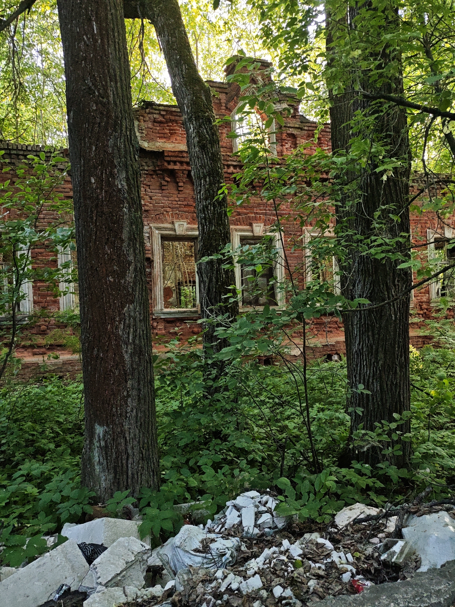 The image depicts an abandoned, red brick building in a state of disrepair, likely located in a wooded area. The building's facade is visible through the trees, with multiple window openings, some with broken or missing frames. The brickwork is damaged, with some sections crumbling. Lush green vegetation, including trees, bushes, and ground cover, surrounds the building, obscuring parts of the structure and suggesting a lack of maintenance. In the foreground, a pile of white debris, possibly from the building's collapse or intentional demolition, litters the ground. The presence of the forest and the building's deteriorated condition implies abandonment and a location somewhat removed from urban areas.
Based on the location given (Боровково, Russia) it is likely that this image shows a deserted historical building within the settlement.
