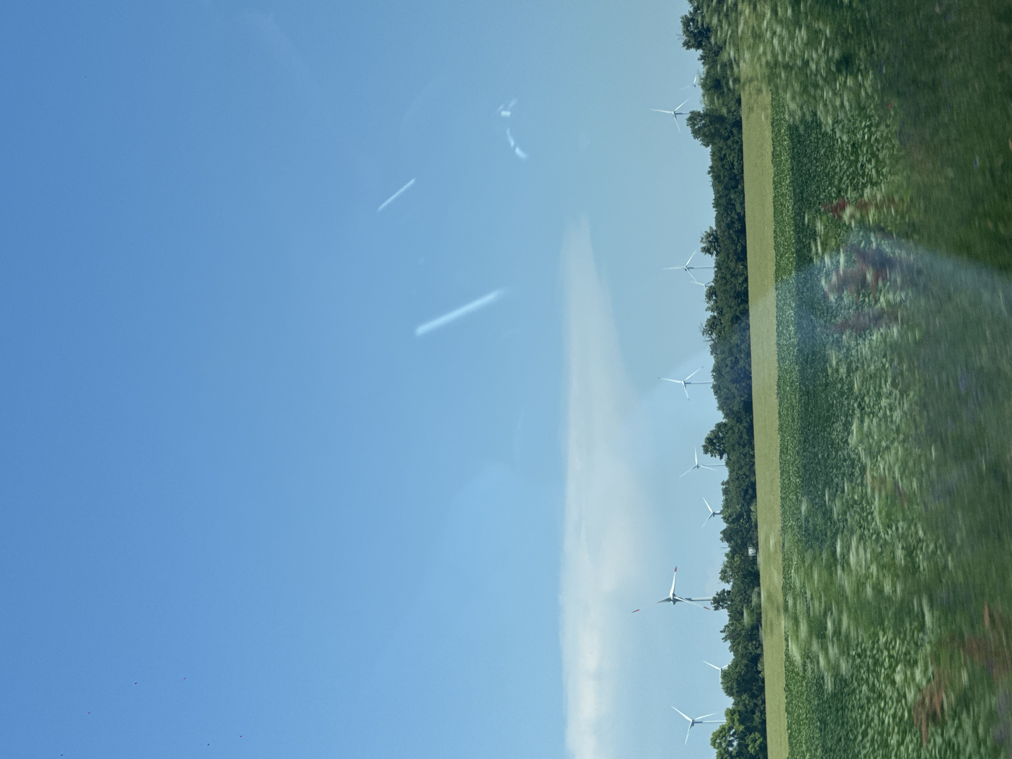 An eye-level, wide-angle shot captures a clear blue sky with faint white clouds on the horizon. A line of wind turbines stands against the horizon, with a dense green tree line separating them from a field of lush green crops. The crops in the foreground are blurred due to motion, suggesting the image was taken from a moving vehicle. The scene is devoid of people or any discernible activity, presenting a serene, natural landscape.