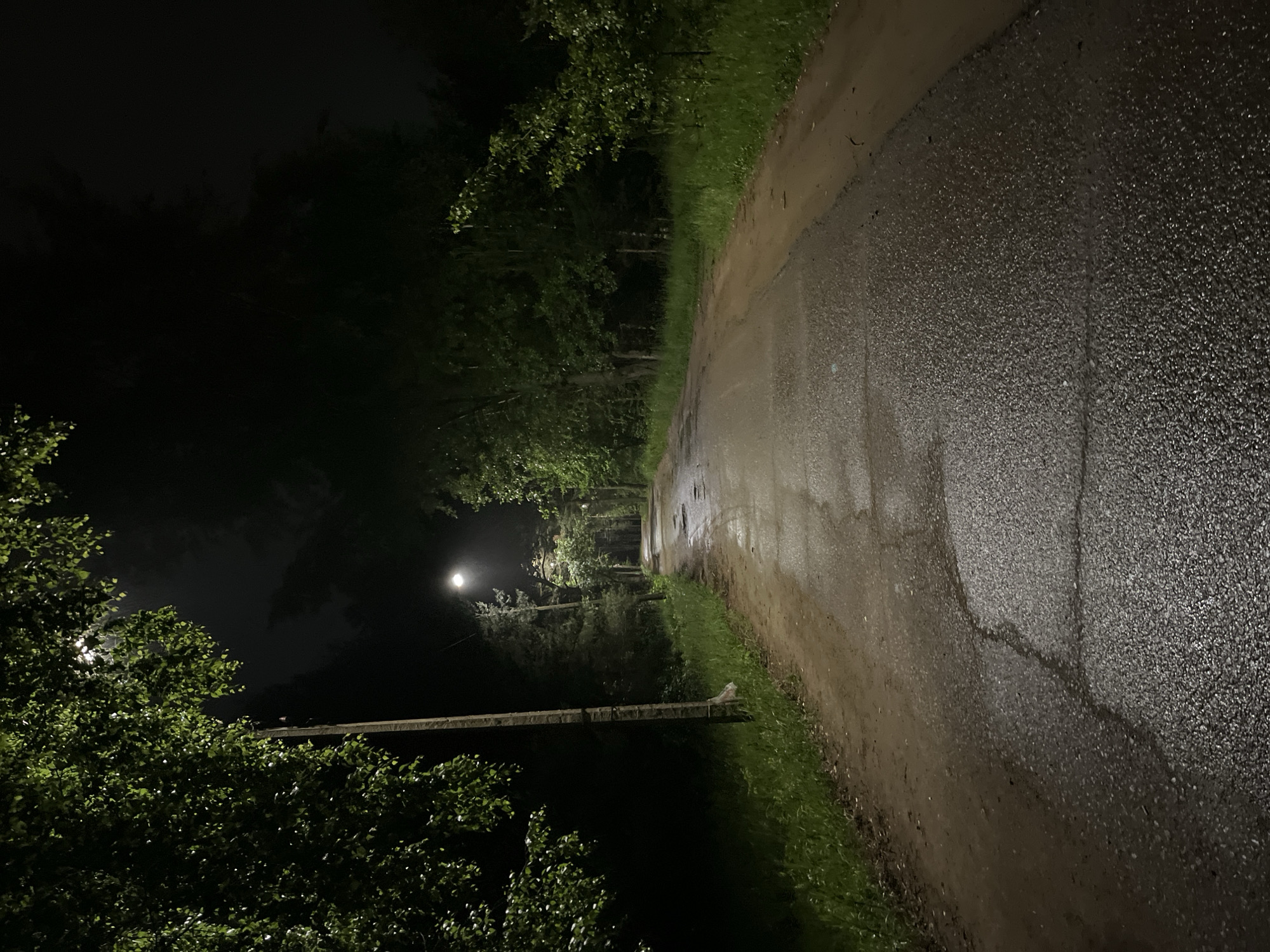 An image taken at night in the city of Chaikovsky, Russia, depicts a narrow, wet road flanked by dense vegetation and illuminated by streetlights. The road, possibly asphalt with significant wear and dirt sections, recedes into the dark distance. Its surface is extensively wet and reflective, indicating recent precipitation, with visible cracks and pooling water. On the left side, a dirt shoulder with green grass borders a tall wooden utility pole. Further down the road, a bright streetlight on the right emits a strong, white light that illuminates a portion of the road and surrounding trees. Additional light sources are vaguely discernible in the upper left, partially obscured by a dense canopy of green leaves. Trees and bushes line both sides of the road, their foliage appearing dark green and wet. The sky above is black, with subtle indications of cloud cover. No individuals or animals are present.