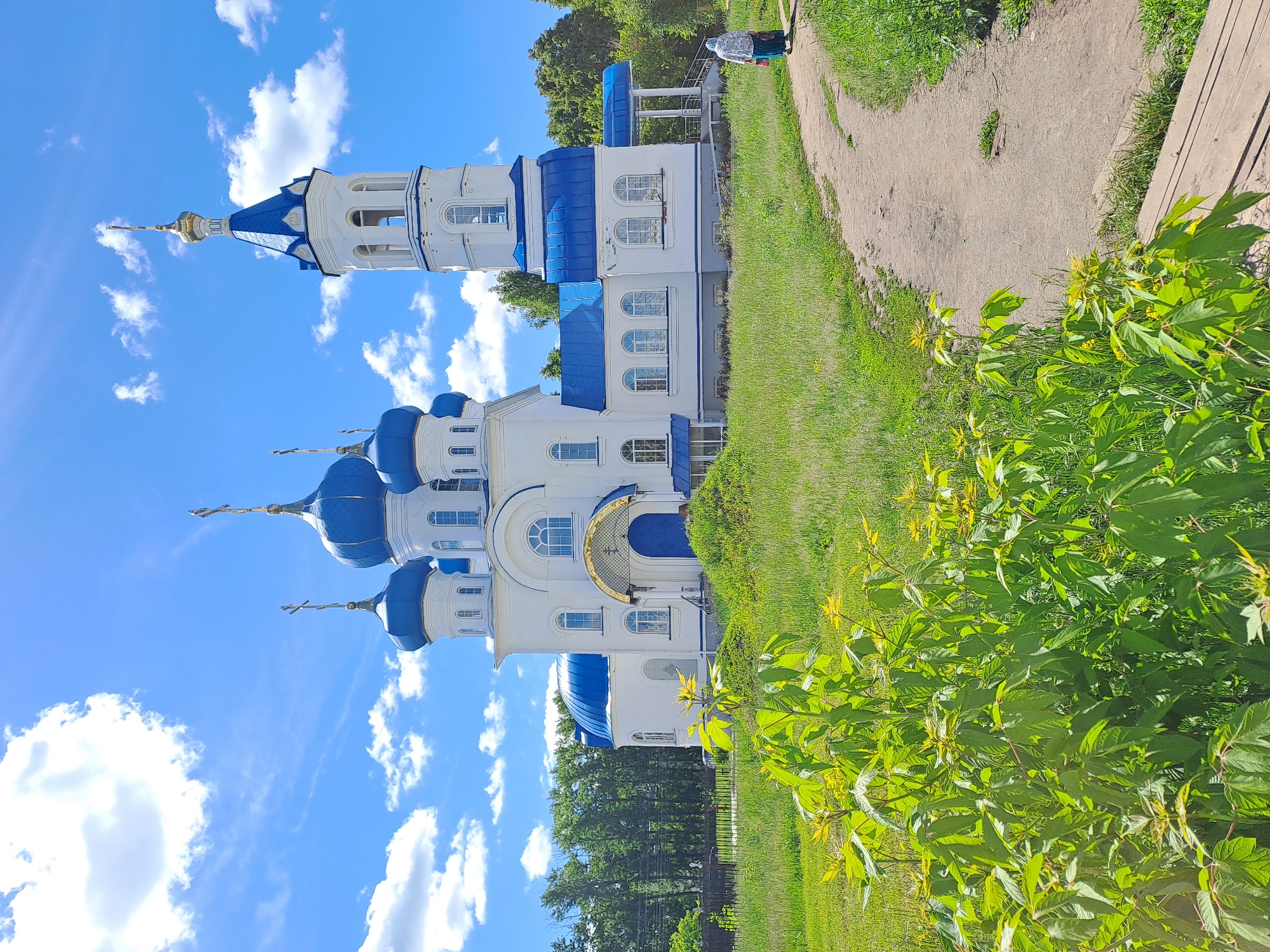 The image presents an Eastern Orthodox church situated in Yalga, Russia, under a clear, bright blue sky adorned with scattered white clouds. The church building is predominantly white, characterized by several distinctive blue, onion-shaped domes, each topped with a golden Orthodox cross. A tall bell tower, matching the white and blue aesthetic and culminating in a golden spire, stands to the right of the main church structure. The architecture includes numerous arched windows with noticeable detailing.
In the foreground, lush green grass and dense leafy bushes, some displaying small yellow flowers, suggest a vibrant natural setting. A dirt path winds from the lower right of the frame, through the grass, and recedes into the distance. A single individual is visible further along this path, appearing to push a stroller or cart. A line of green trees forms a natural backdrop behind the church. The scene conveys a peaceful and serene atmosphere on a sunny day, likely captured during the morning or early afternoon given the strong, clear lighting. There is no visible text within the image.