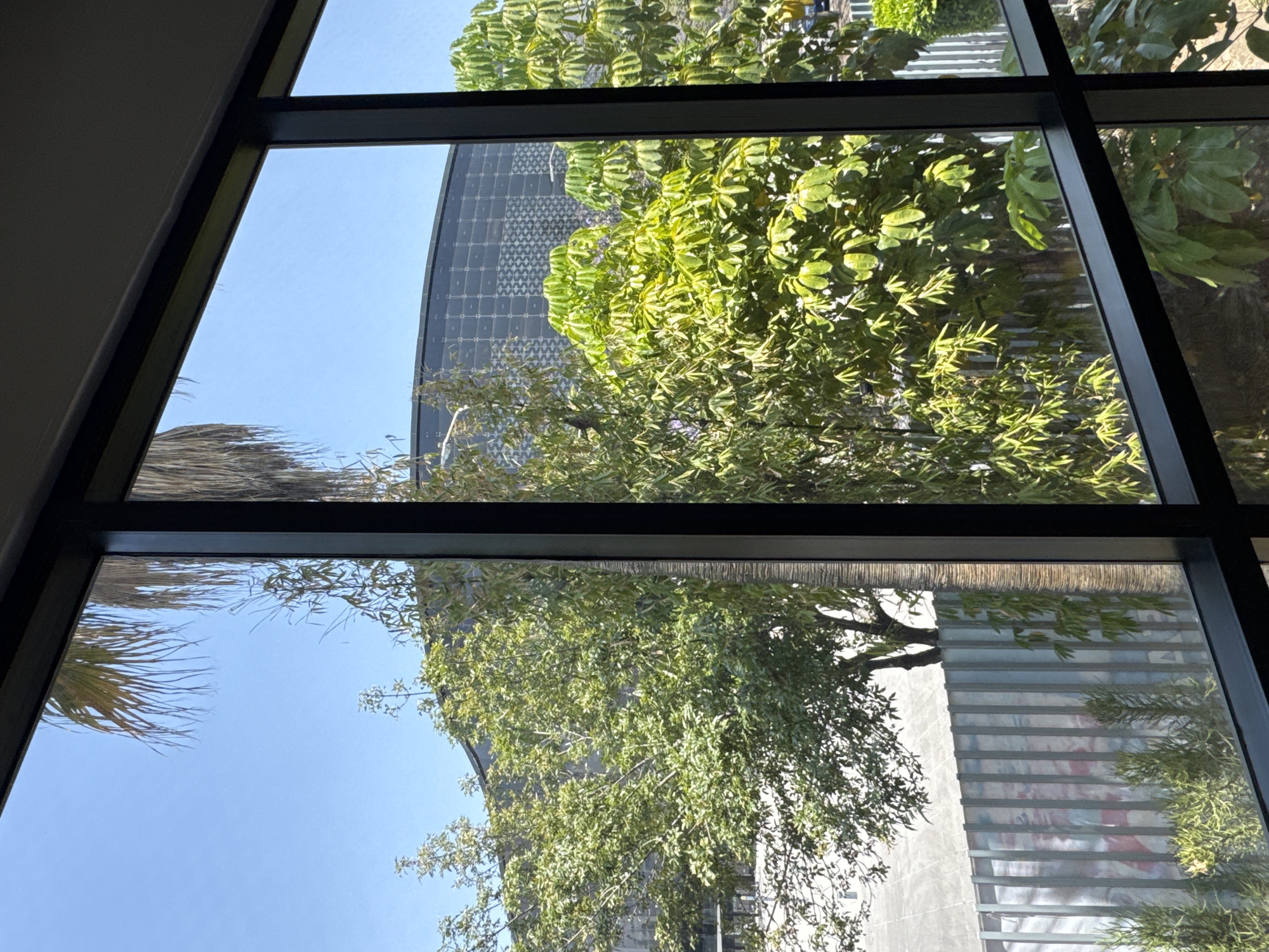 The view from a window reveals a blend of natural and urban elements. In the foreground, a black-framed window presents a clear view of a sky and a glimpse of a palm tree. Beyond the window, the scene unfolds with trees obscuring part of a building with a patterned facade, suggesting modern architecture. The natural elements are lush and green, contrasting with the grey architectural structure. The city of Puebla, Mexico, is identifiable due to the unique architectural style present in the urban landscape.