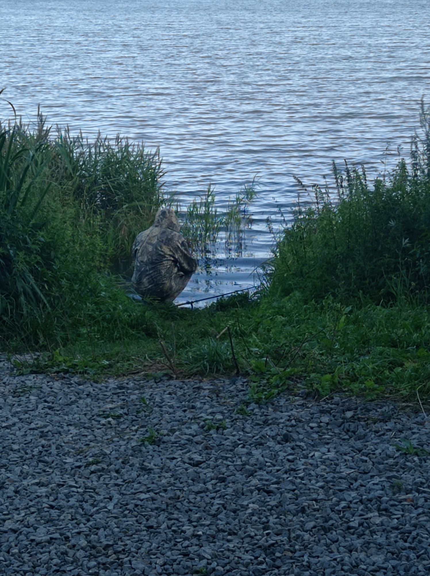 A person wearing camouflage clothing is crouched down next to a body of water, surrounded by tall green grass. The person appears to be fishing. The water is calm with gentle ripples. In the foreground, there is a path covered in small, dark gray gravel. The scene appears to be a natural outdoor environment, likely a lake or riverbank within the city of Degtyarsk, Russia.