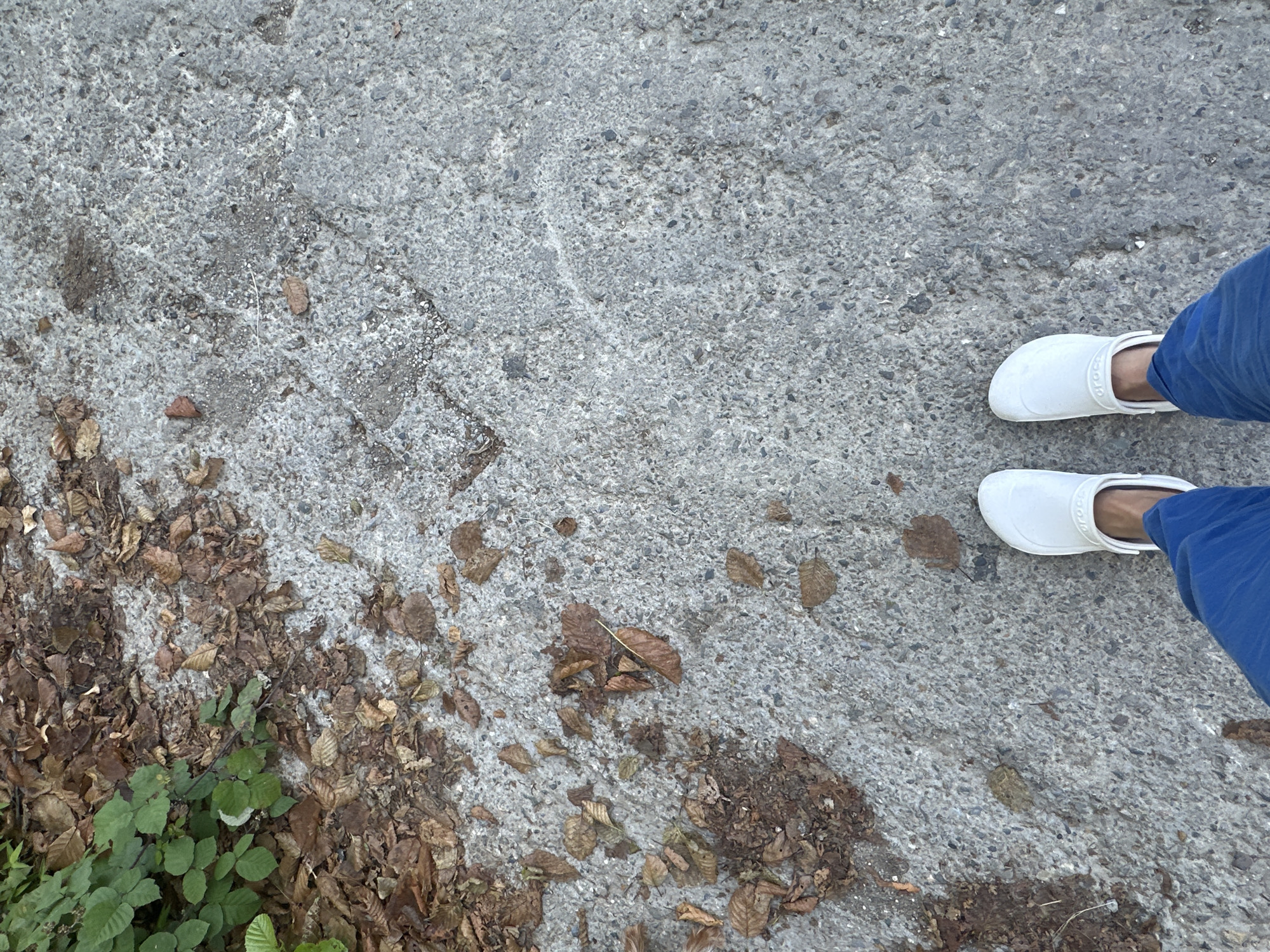 This is a point-of-view shot taken from a standing position, looking down at a person's feet wearing white Crocs and blue pants. The ground is paved with grey concrete, speckled with small stones and pebbles. To the left of the frame, a patch of green foliage and dried brown leaves are scattered across the concrete. The scene appears to be outdoors, possibly on a pathway or sidewalk in the city of Verkhniy Yurt, Russia.