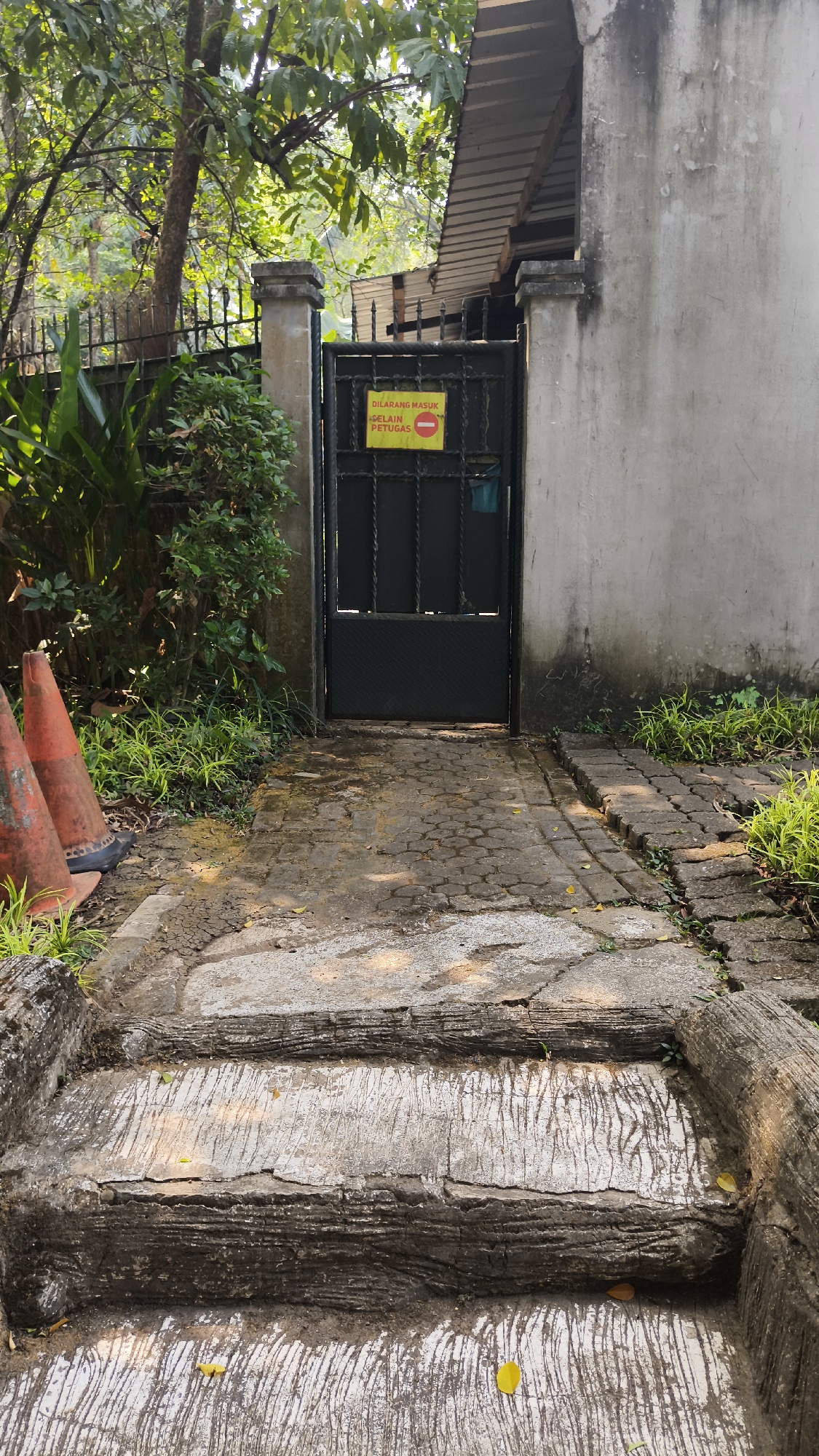 The image depicts an outdoor scene featuring a gate, a wall, and a pathway leading up to the gate. The gate is dark green, made of metal bars, and has a yellow sign attached to it that reads "DILARANG MASUK SELAIN PETUGAS" with a red circle and a diagonal line symbol. This translates to "NO ENTRY EXCEPT FOR OFFICERS." To the left of the gate, there are two orange traffic cones and lush green foliage. The pathway is paved with irregular stones and shows signs of wear and tear, with cracks and uneven surfaces. Beyond the gate, a portion of a building with a corrugated roof is visible. To the right of the pathway, a rough, textured concrete wall runs alongside. In the foreground, there are rough concrete steps with a wood-like texture. The environment appears to be in a tropical climate, suggested by the dense greenery and the lighting conditions. The scene seems to be a restricted entry point, possibly for a property or facility in South Jakarta, Indonesia, given the context provided.
