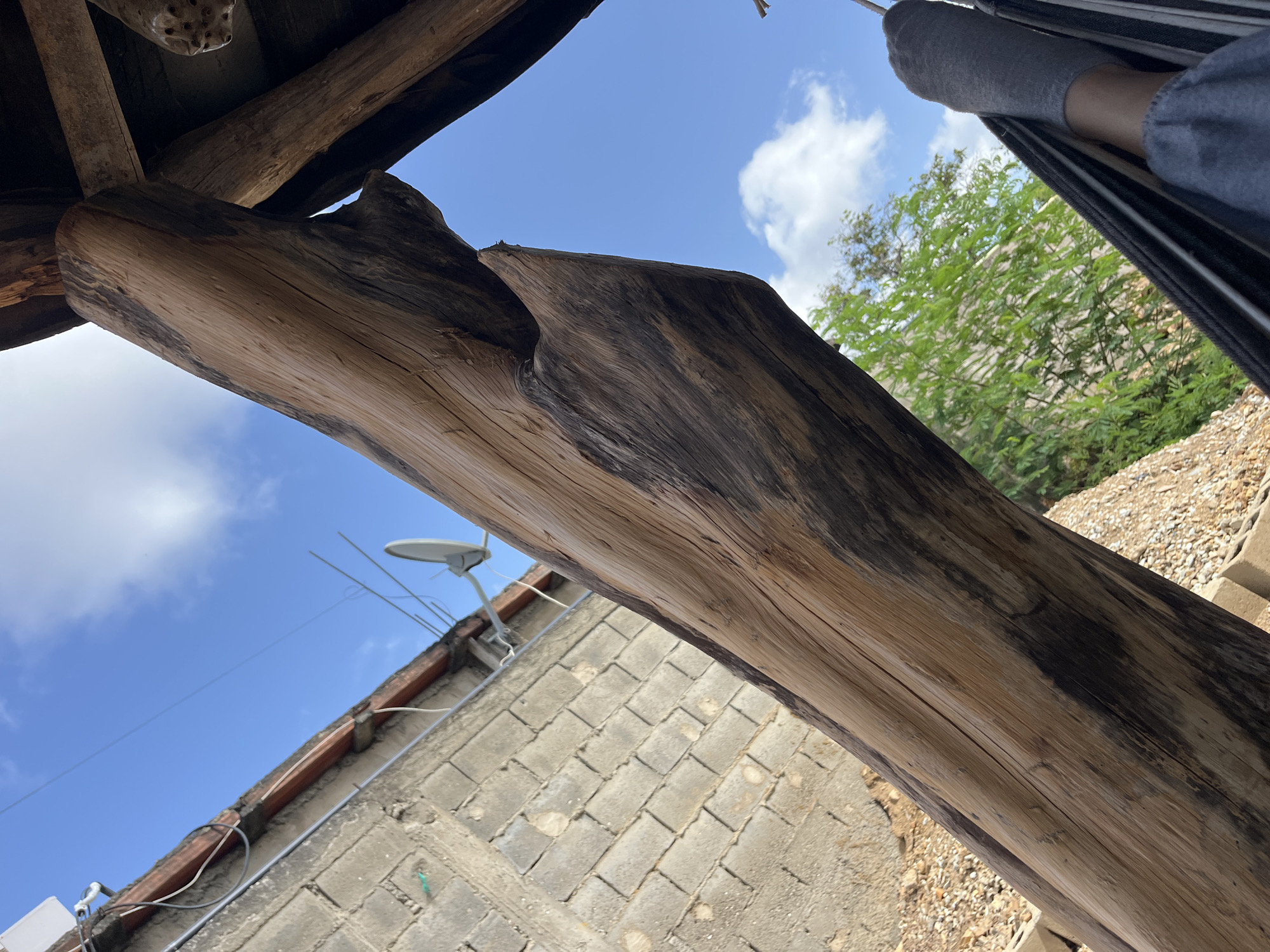 The image captures an upward-looking perspective from beneath a wooden structure, likely a rustic porch or gazebo, with a clear blue sky and scattered white clouds overhead. The primary subject is a large, weathered wooden beam that dominates the foreground, its surface marked by natural grain, cracks, and darker, aged patches. This beam is part of the overhead structure, with other wooden elements visible above and to its left.
Below the wooden beams and visible through the gaps, is a scene of everyday life. A section of a brick wall, constructed from cinder blocks, runs diagonally across the mid-ground, with a reddish-tiled roof edge visible along its top. A satellite dish is mounted on the roof, and some electrical wires are strung across the scene. To the right of the brick wall, lush green foliage from trees can be seen, with a person's legs, wearing grey socks and grey sweatpants, resting in a hammock visible in the upper right quadrant, suggesting a relaxed moment. The ground below the trees appears to be covered in small pebbles or gravel.
The lighting suggests it is daytime, likely late morning or early afternoon, with bright sunlight casting shadows and highlighting the texture of the wood and the details of the brickwork. The overall mood is one of leisure and outdoor relaxation, perhaps in a warm climate given the greenery and the presence of a hammock. The location context of Juan Griego, Venezuela, implies a tropical or subtropical setting. There is no visible text in the image.