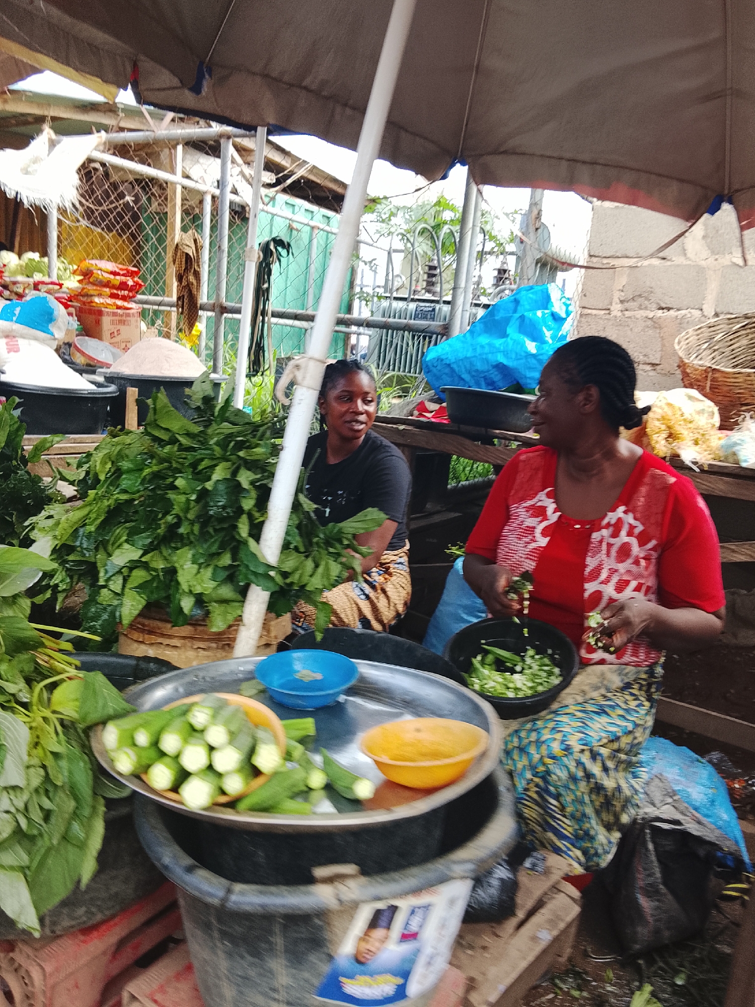 In Akwanga, Nigeria, two women are visible at a market stall. The woman on the right, wearing a red and white patterned shirt and a blue, yellow, and green patterned wrapper, is seated and actively chopping green vegetables. She has dark, braided hair and is looking towards her left. In front of her is a black bowl containing chopped vegetables, and to her left, a large pile of leafy green vegetables is also present.
The woman on the left, wearing a black t-shirt and a patterned wrapper, is also seated, facing the right and looking at the other woman. She has dark hair.
The market stall is covered by a brown tarp. To the left of the women, stacks of red and yellow bagged goods are visible. Various containers, including a large black tub and a grey metal basin filled with okra, are also present. In the background, there are some metal fences and greenery. The overall impression is a busy, open-air market scene.