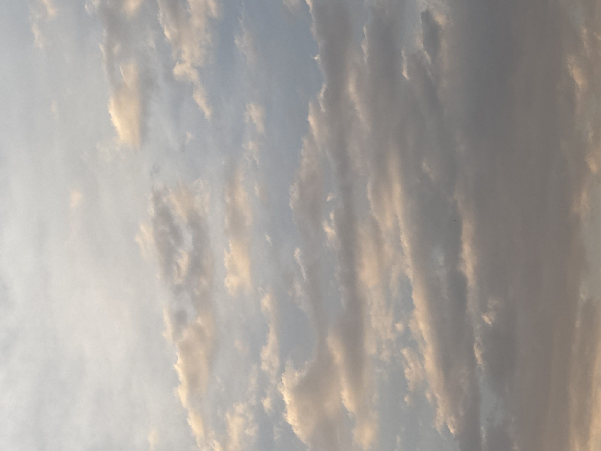 This media file captures a vast expanse of sky, dominated by an arrangement of clouds. The scene is a serene, natural setting.
The primary subjects are numerous clouds, appearing elongated and somewhat wispy, stretching across the frame in a generally vertical orientation. Some clouds display soft, warm, golden hues, suggesting they are being illuminated by direct sunlight, while others are a darker, muted grey, indicating areas where the light is less direct or where the clouds are thicker. The background sky is a light, desaturated blue-grey, visible in the clearer patches between the clouds.
No explicit activity or event is taking place, as the image depicts a stationary view of the sky.
Notable details include the lighting, which strongly suggests either sunrise or sunset due to the warm, golden light reflecting off the clouds. The weather appears to be partly cloudy. There are no visible people, specific objects, or discernible structures. No text is present in the image. The location context provided is San Francisco Ocotlán (Ocotlán), Mexico. The overall impression is one of calm and natural beauty.