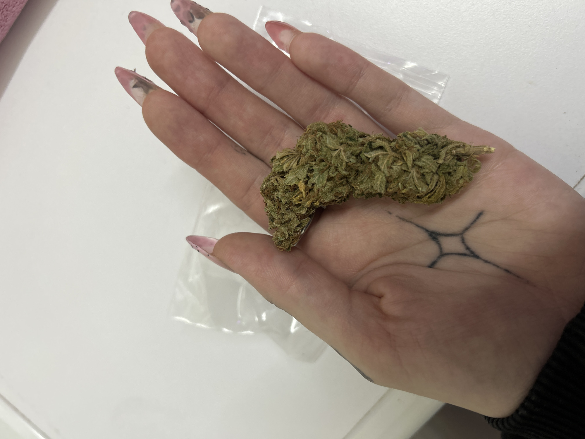 The image displays a close-up view of a person's left hand holding a large cannabis bud. The hand, likely female, has long, pointed, clear-tipped artificial fingernails with faint pink and dark patterns, and some visible nail growth underneath. A distinct, black geometric tattoo, resembling a star or a complex compass rose, is visible on the palm.
The cannabis bud is the central object, resting across the palm and fingers. It is a large, dense, and irregularly shaped mass of dried plant material, predominantly greenish-brown with hints of lighter green and orange-brown hairs (pistils). The texture appears coarse and crystalline, consistent with a mature cannabis flower.
In the background, a small, empty, clear plastic re-sealable baggie is visible on a flat, white surface, suggesting an indoor setting. The surface itself is plain and bright, possibly a table or countertop. There are no other discernible objects or background details that provide further context about the specific location, time of day, or weather. No text is visible in the image. The overall activity depicted is simply the presentation or display of the cannabis bud in the hand.
