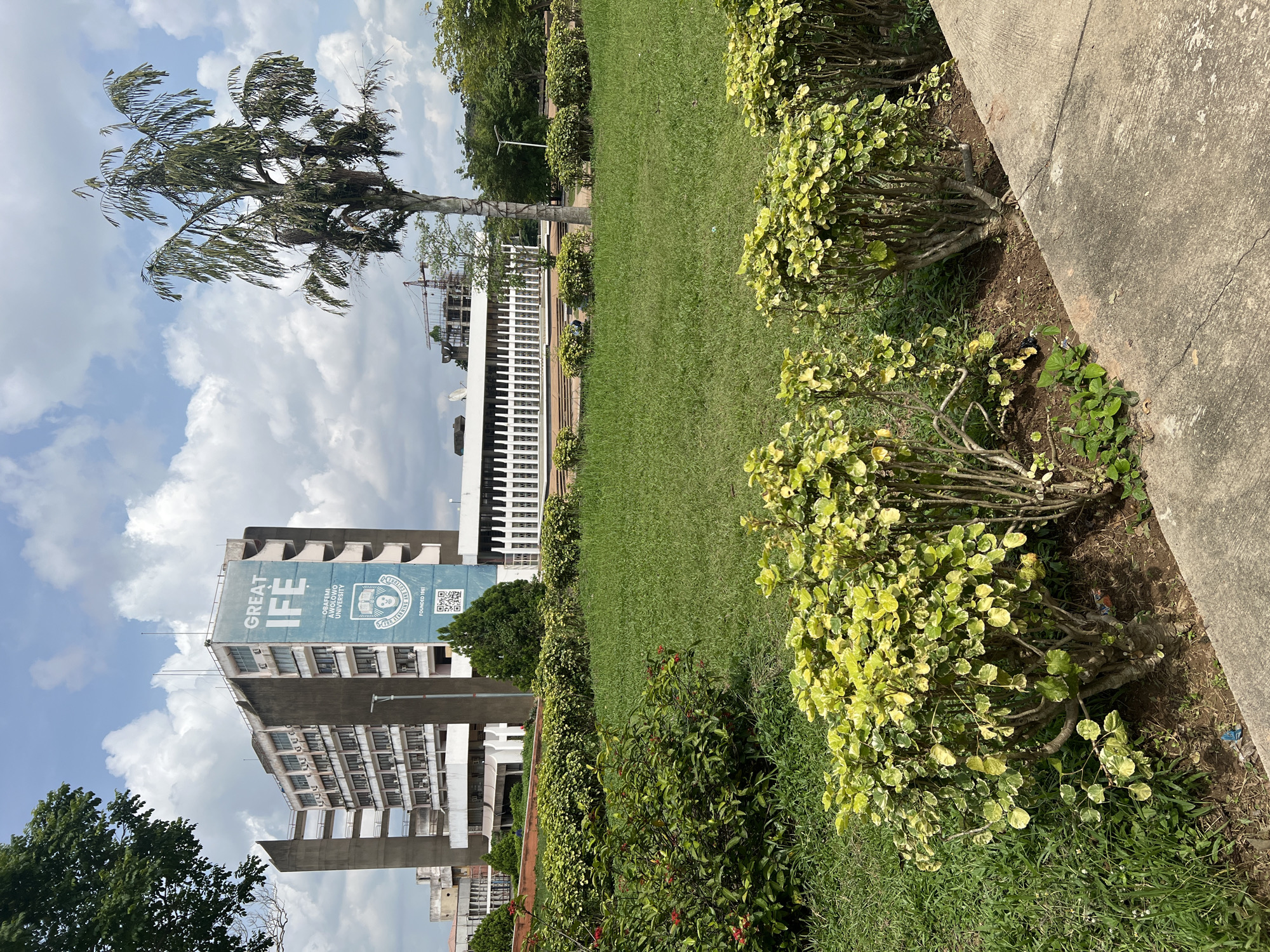 A tall, multi-story concrete building stands prominently against a cloudy sky in Ile-Ife, Nigeria. A large blue banner displaying "GREAT IFE" and the Obafemi Awolowo University crest is affixed to the side of the building. In the foreground, a lush green lawn is dotted with several manicured bushes and flowering shrubs. A tall palm tree with sparse foliage stands to the right of the building. The scene appears to be an outdoor campus area, possibly a university setting, characterized by modern architecture and abundant greenery.