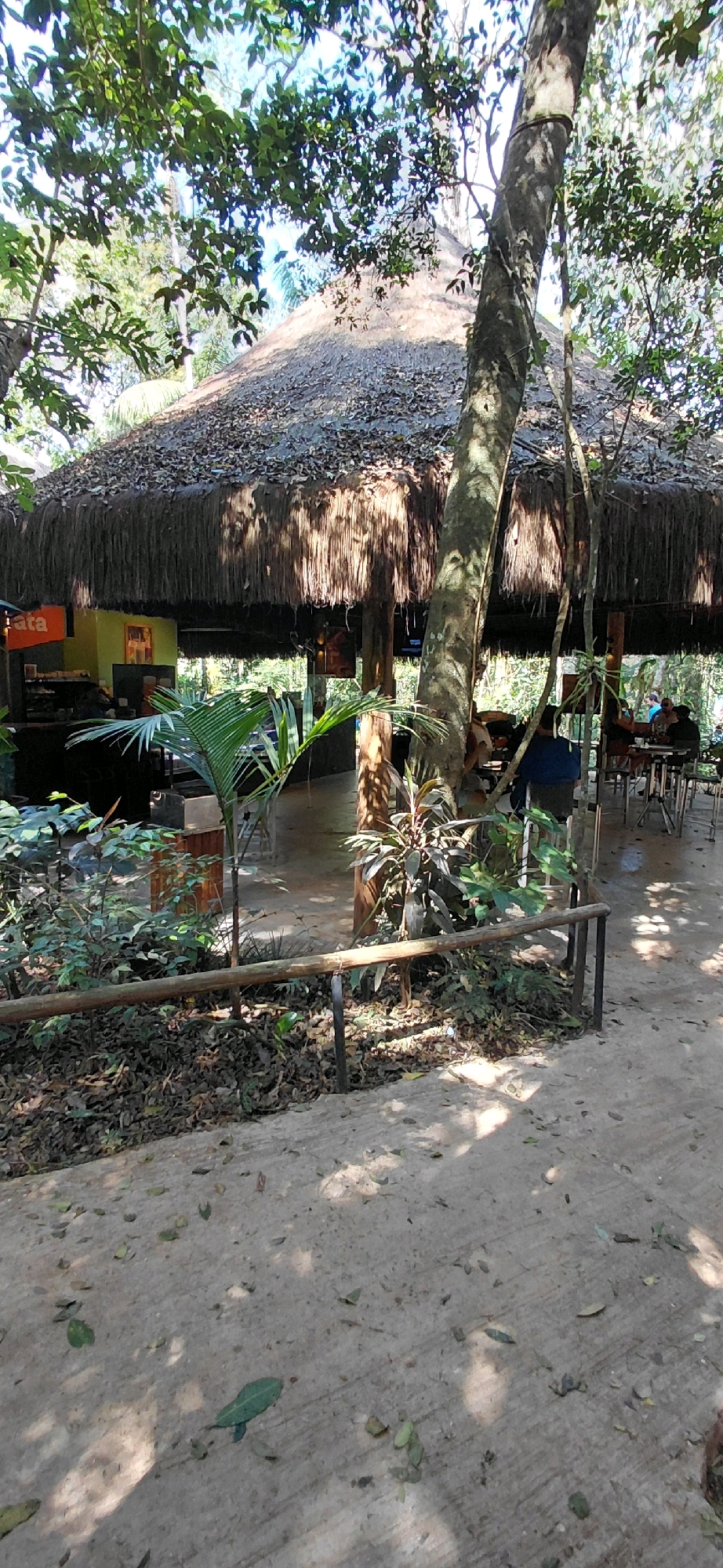 The image depicts an outdoor seating area under a thatched roof, likely part of a restaurant or bar in Foz do Iguaçu, Brazil. The structure is surrounded by lush vegetation and trees, with sunlight dappling through the leaves onto the ground and seating area.
In the foreground, a pathway made of concrete or packed earth is visible, covered with fallen leaves. A simple wooden railing runs along the edge of this path, bordering a garden area with various plants and a small palm tree.
The central focus is the open-sided structure with its distinctive thatched roof, supported by wooden posts. Inside the structure, tables and chairs are arranged for patrons. Several people are seated at tables in the background, some appearing to be engaged in conversation or dining. One individual is wearing a blue shirt. A counter or bar area is partially visible on the left side, with an orange sign displaying the word "cata" in white lettering.
The environment suggests a tropical or subtropical setting, consistent with Foz do Iguaçu's location near the Iguazu Falls. The overall atmosphere is relaxed and natural, integrating the built environment with the surrounding greenery.
