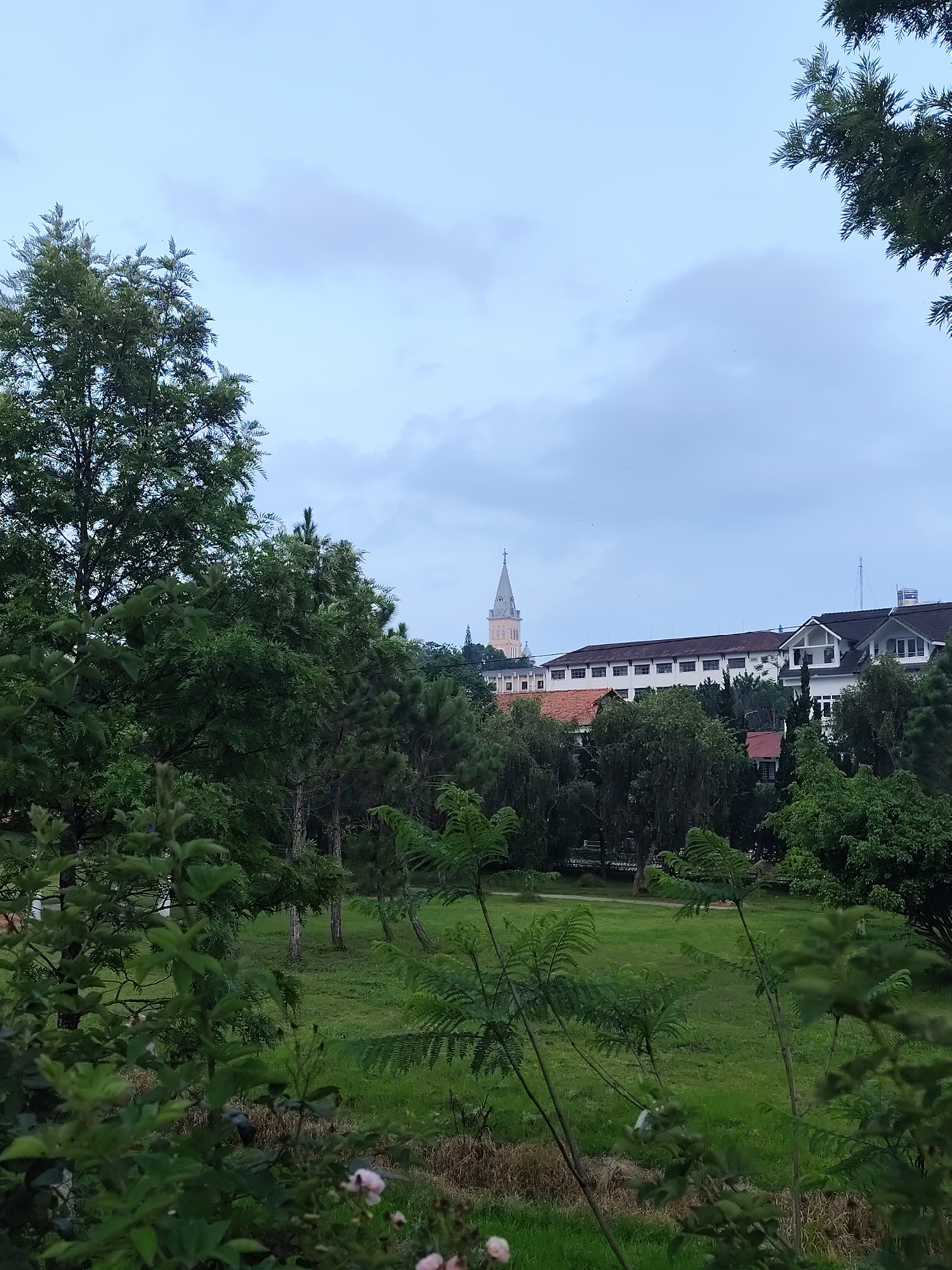 The image captures a verdant landscape in Da Lat, Vietnam. In the foreground is a grassy field with scattered young trees. Foliage from nearby trees frames the sides of the image, creating a sense of depth. Beyond the field, a building complex is visible. A church steeple rises prominently above the buildings. The sky is overcast. No people are visible.