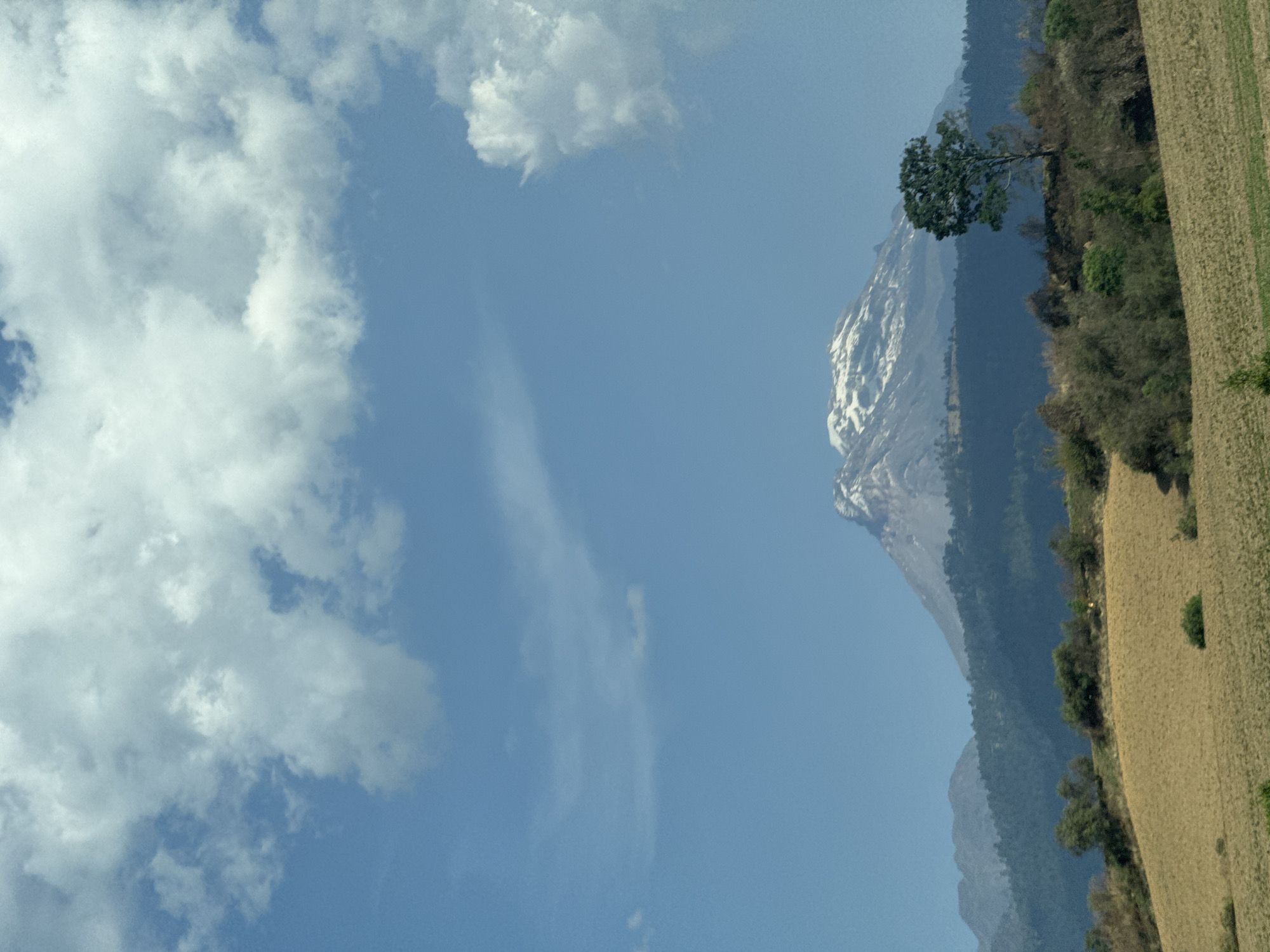 The image displays a serene landscape featuring a prominent snow-capped mountain under a vast sky. In the upper portion, a clear, light blue sky is dotted with several fluffy white cumulus clouds.
Towards the mid-ground on the left, a majestic mountain peak rises, its upper slopes distinctly white, suggesting a covering of snow or light-colored rock. The mountain's lower flanks are covered in dense, dark green forest.
Extending from the base of the mountain and across the middle-right, a line of forested hills creates a natural horizon. A solitary, full-bodied green tree stands out on a ridge within this forested area, positioned to the right of the main mountain peak.
The foreground and the right side of the image are occupied by an expansive field of golden-brown, possibly harvested agricultural land or dry grassland, indicating a rural setting.
The scene is brightly illuminated by daylight, suggesting either morning or afternoon, with clear weather conditions. No people or artificial structures are visible, emphasizing the natural beauty and grandeur of the landscape. There is no visible text in the image. Given the location context of Colonia General Manuel Ávila Camacho, Mexico, the prominent mountain is likely one of the region's well-known volcanoes, such as Popocatépetl or Iztaccíhuatl.