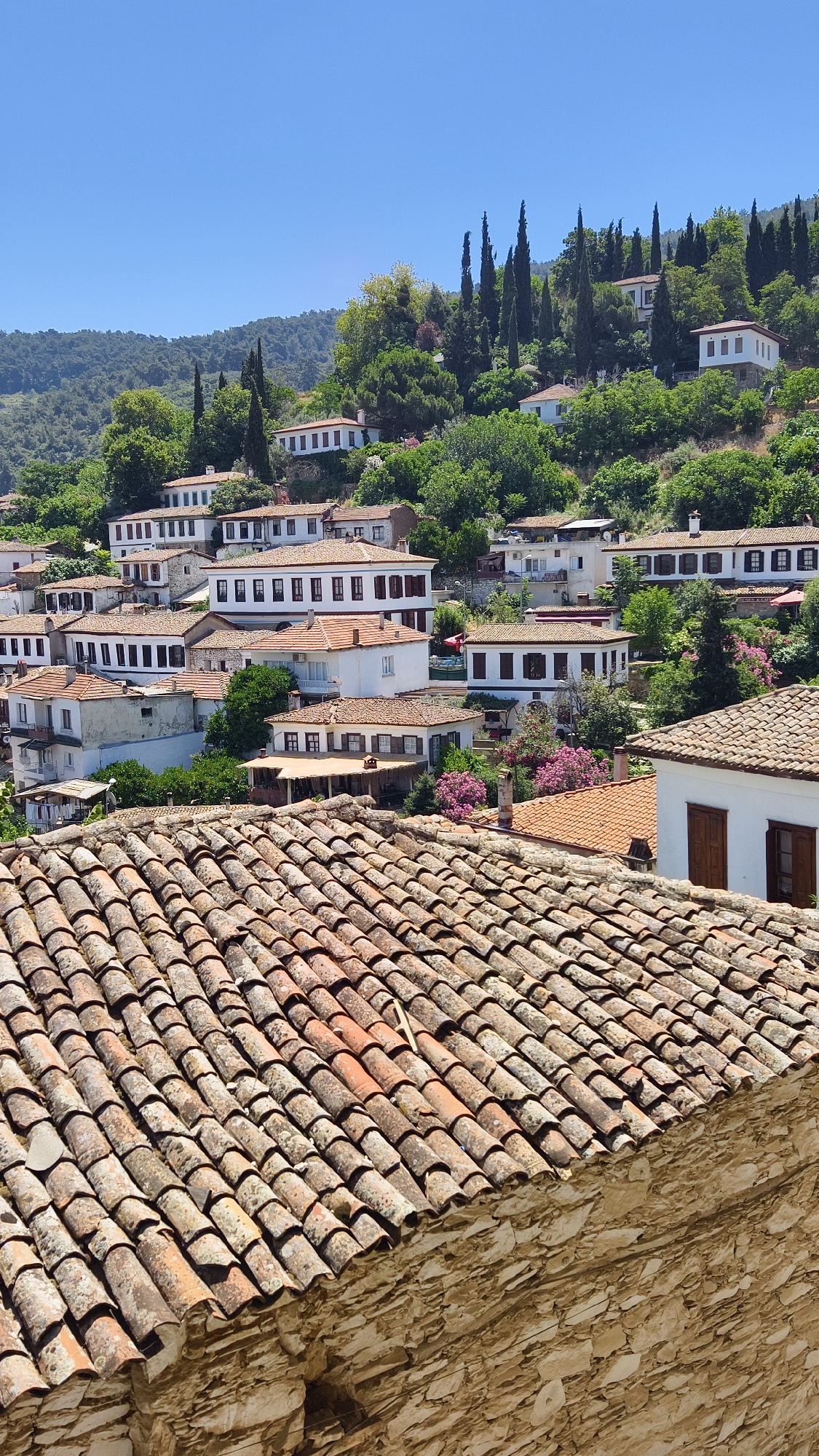 This is an eye-level, full shot of the town of Sirince, near Selçuk, Turkey. The image is dominated by a densely packed hillside covered in white-washed houses with terracotta roofs. The houses are of varying sizes and architectural styles, many featuring multiple windows and balconies. Lush green trees and cypress trees dot the hillside, interspersed between the buildings and climbing up the slopes. The sky above is a clear, bright blue. In the foreground, the weathered, curved tiles of a rooftop are visible, made of baked clay and showing signs of age with moss and lichen growth. The houses themselves are white, with dark wooden shutters on the windows. The overall impression is one of a traditional, sun-drenched village nestled into a verdant landscape.