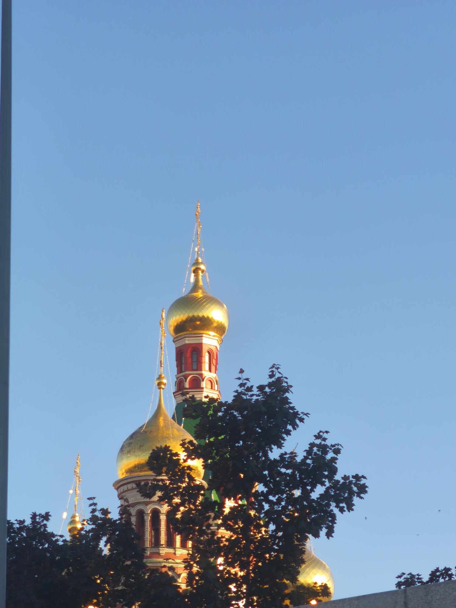 The image shows a close-up view of several golden domes of a Russian Orthodox church, set against a clear blue sky. The domes are highly reflective, catching the sunlight and appearing a brilliant gold. They are adorned with decorative elements, including red and white banding and ornate spires topped with crosses. In the foreground, dark green foliage of trees partially obscures the lower portions of the domes and their supporting structures. The architecture suggests a traditional Russian style. The overall scene is serene and picturesque, with the golden domes symbolizing spiritual significance against the vast expanse of the sky. This structure is located in Yoshkar-Ola, Russia, specifically at the National Congress Palace, also known as the Palace of the Chuvash National Congress, which features architecture inspired by traditional Russian and Tatar styles, including these characteristic golden domes.