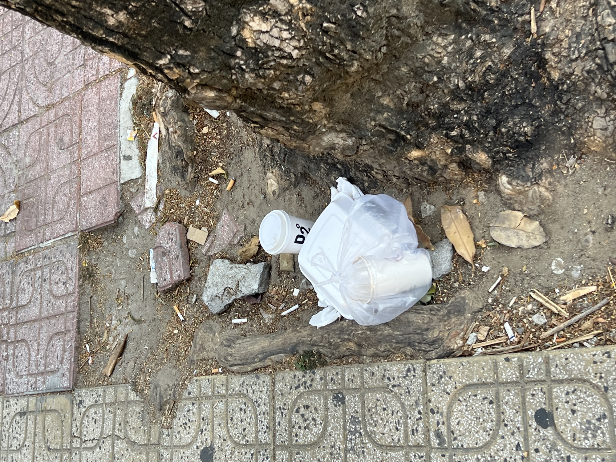 Image of litter near a tree on a sidewalk in Nha Trang, Vietnam. The sidewalk is comprised of grey and red tiled pavement. Litter includes a white plastic bag, a white plastic cup, cigarette butts, leaves, and rocks. The base of the tree is brown and gnarled.