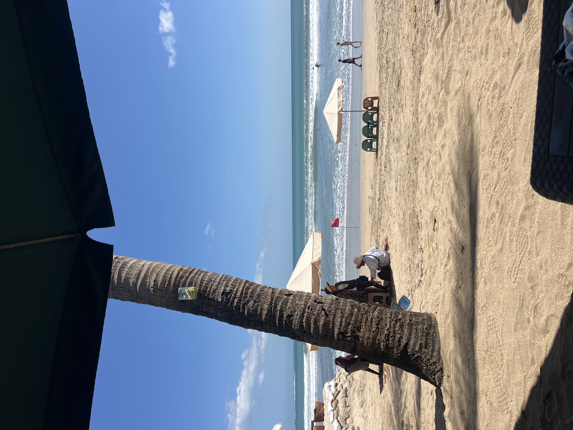 The image depicts a serene beach scene in Kuta, Indonesia, under a clear blue sky. The foreground is dominated by a large, textured palm tree trunk and the edge of a dark umbrella, casting shadows on the sandy beach. A clear plastic cup containing green items, possibly lime wedges, is attached to the palm tree.
Further down the beach, several people are visible. Near the palm tree, three individuals are gathered, two sitting and one standing, possibly interacting with each other. One person is seated on the sand wearing a hat and light-colored clothing, facing away from the camera. Another person is seated on a chair, also facing away. A third person is standing near them. A light-colored beach umbrella stands behind them.
In the middle ground, the ocean stretches out, with gentle waves rolling towards the shore. Several surfers can be seen in the water. A beige beach umbrella is set up on the sand, accompanied by four plastic chairs – three green and one brown. Two individuals are walking along the shoreline near the umbrella.
In the background, the horizon where the sky meets the sea is visible, with a few white clouds scattered across the blue expanse. The overall atmosphere is tranquil and summery, indicative of a typical day at Kuta Beach.