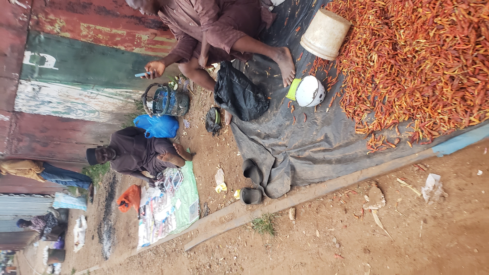 In Kakuri Gwari, Nigeria, two men are seated outdoors at a street market. One man, wearing a dark brown robe and a black skullcap, sits cross-legged on a green cloth spread on the ground. He is looking at the camera and smiling. In front of him are various items, possibly merchandise, including what appear to be cell phones. Beside him are two blue plastic bags and a dark basket. The other man, also wearing a brown robe, is seated on a black plastic sheet. He is holding a light blue smartphone in his right hand and looking at it. A large pile of dried red chili peppers is spread out on the black plastic sheet in front of him. A white bowl with a dark pattern and a yellow plastic cup are also on the sheet. To the left of the scene, another person is seated further back, with a blue plastic bag and a gray bin nearby. The ground is dirt and some patchy grass. A metal barrier runs along the edge of the market area. In the background, a red and green corrugated metal wall serves as a backdrop.