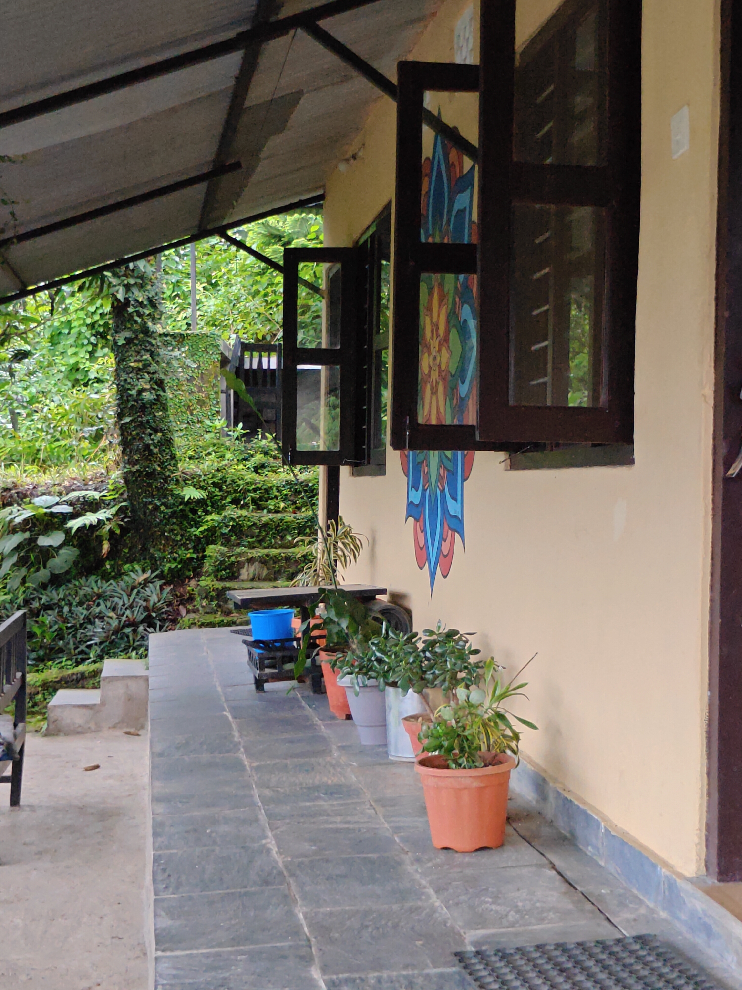 The image depicts the exterior of a building in Pokhara, Nepal, characterized by a beige-colored wall with an open wooden-framed window and a colorful mural of a blue and red floral design. In front of the building, a stone-tiled walkway is lined with several potted plants, including a prominent terracotta pot with a small leafy plant. To the left of the walkway, a concrete step leads to a lush, green environment with a tree heavily covered in ivy and a set of moss-covered stone stairs. A blue bucket on a dark stand is visible on the walkway near the stairs. The scene suggests a tranquil, natural setting, possibly a guesthouse or a home in a verdant area of Pokhara.