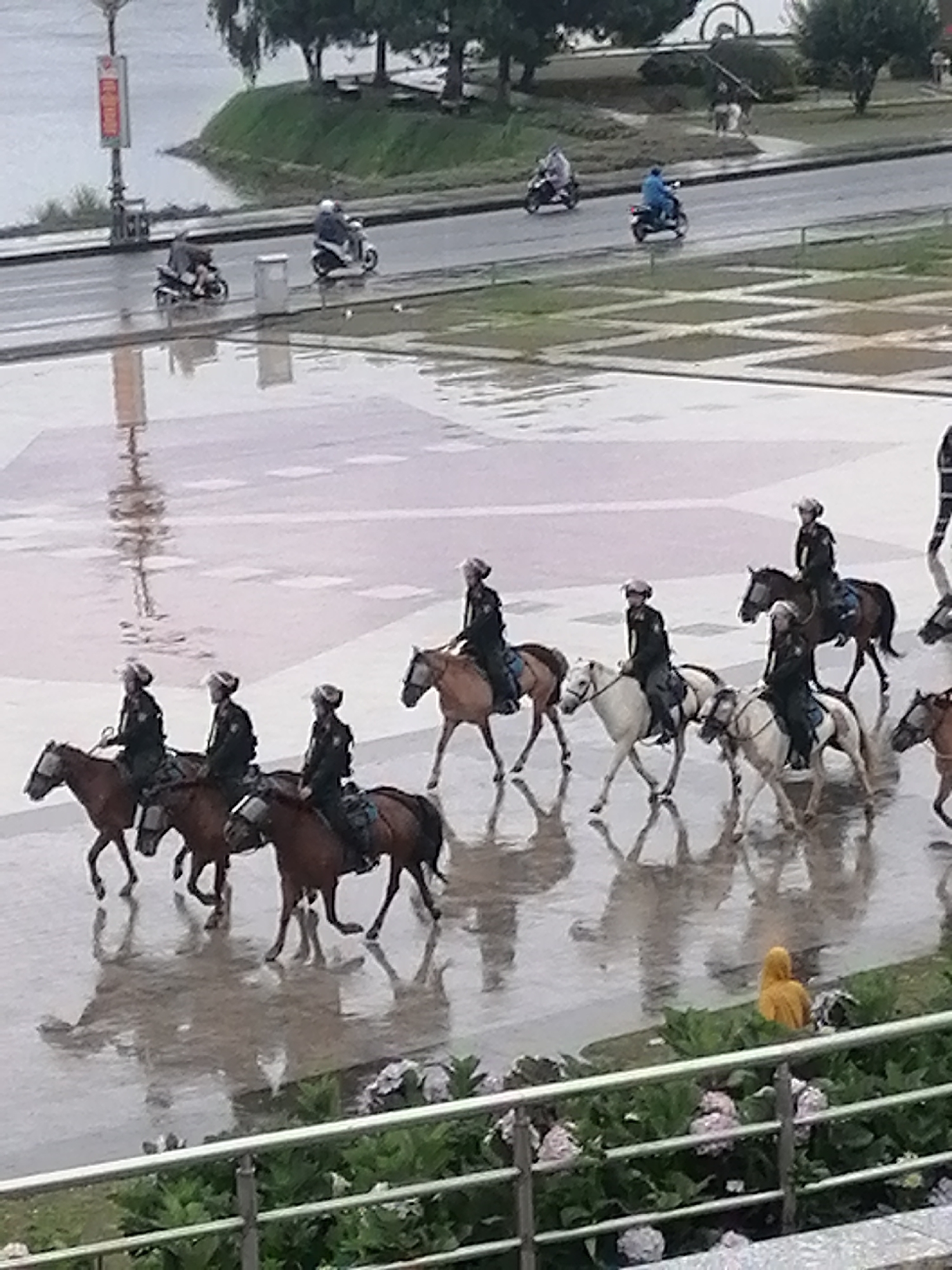 The image shows a line of mounted police officers on horseback in what appears to be a city square or wide street, possibly during or after rain, as evidenced by the wet ground and reflections. The officers are wearing dark uniforms and helmets, and are riding various colored horses. In the background, there are trees, a body of water, and what looks like a road with several motorcycles. The scene is likely in Da Lat, Vietnam, given the mention of a city square and the presence of motorcycles, common modes of transport in Vietnamese cities. The overall impression is one of an organized patrol or display.