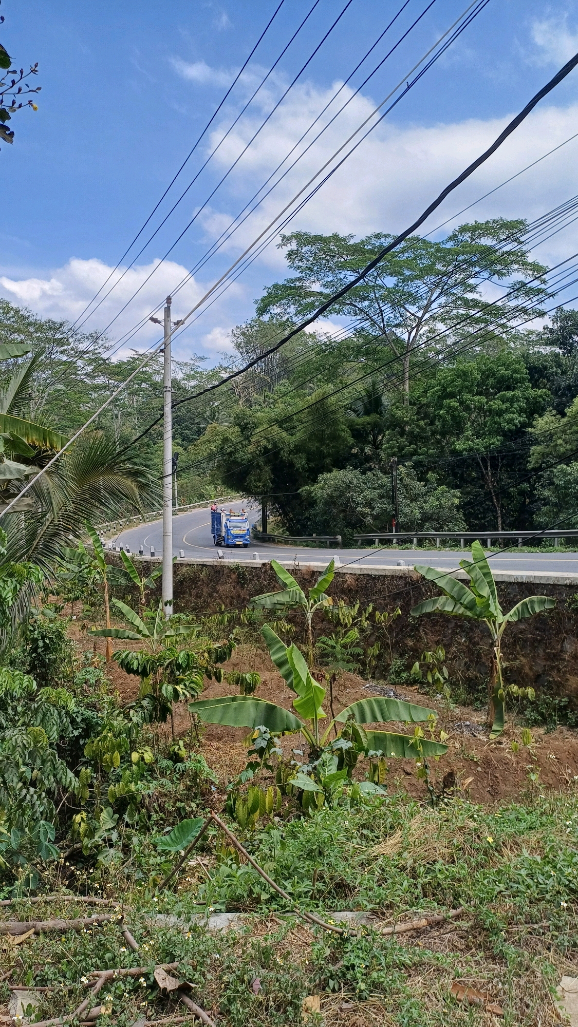 The image depicts a road winding through a lush, tropical landscape in Karangwuni, Indonesia. Overhead, a network of power lines crisscrosses the bright blue sky, which is dotted with fluffy white clouds. A bright blue truck, possibly a delivery vehicle, is visible traveling along the curved asphalt road, its lights illuminated. The road is flanked by a concrete barrier and a steep, earthy embankment covered in dense green vegetation, including banana trees and smaller plants. Beyond the road, the landscape is dominated by a variety of trees, forming a dense forest that stretches towards the horizon. The overall scene conveys a sense of rural life and natural beauty.