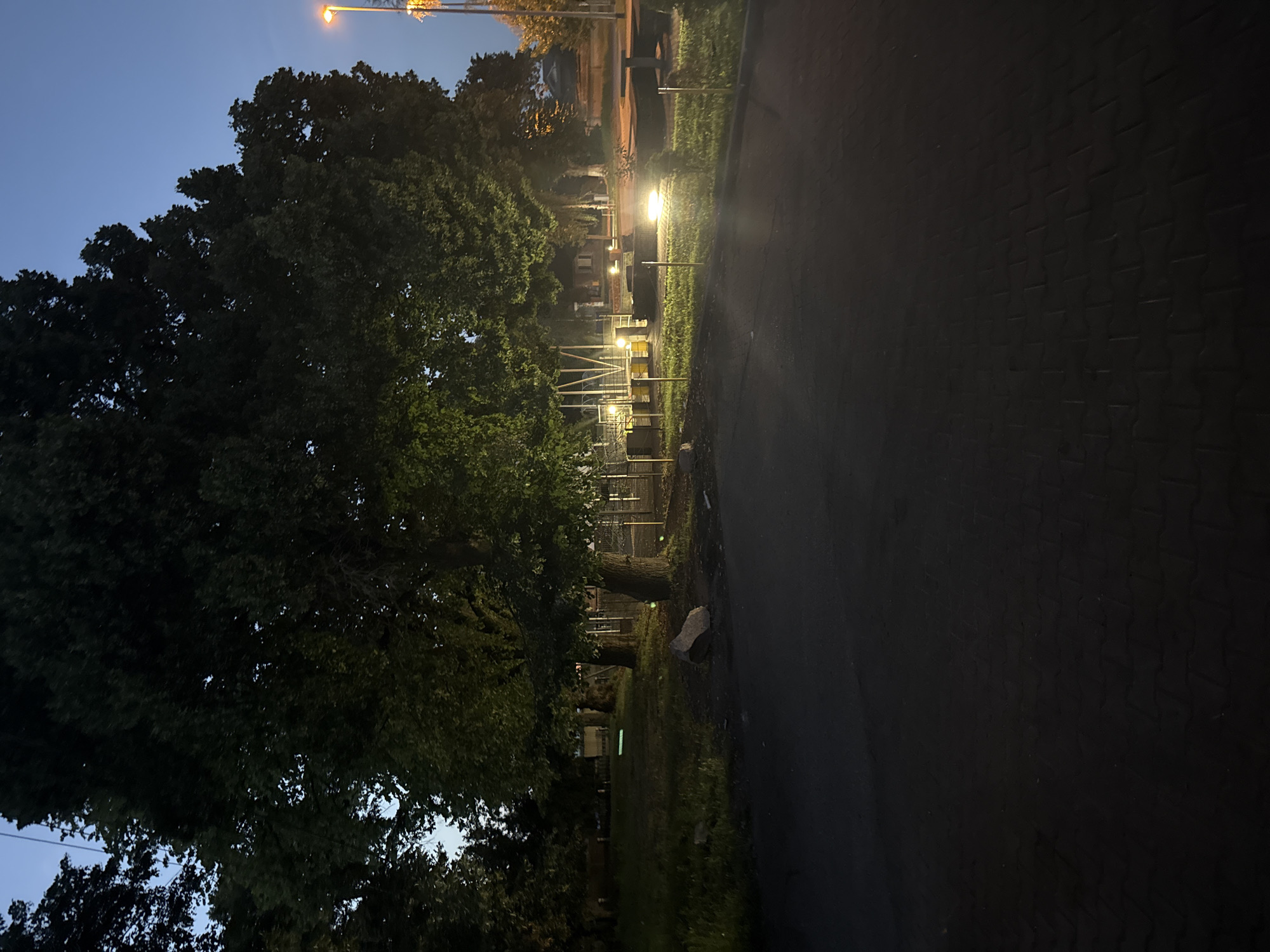 The image depicts an outdoor scene at dusk or night, showcasing a park-like area with mature trees and illuminated elements. The foreground is dominated by a dark, paved surface, likely a pathway or road, with visible interlocking brick patterns. Beyond this, a grassy area is sparsely lit by a few luminous green rectangular markers on the ground, interspersed with larger, rough-textured rocks.
In the middle ground, several trees with lush green foliage are prominent. Some are illuminated by artificial lights, including several ground-level lamps casting a warm glow, and a taller streetlamp with an orange light visible on the right side of the frame. A low fence, constructed with metal posts and possibly mesh or wire, encloses part of the area. Some yellow cylindrical objects, possibly bins or decorative elements, are also present within the fenced section. In the distance, hints of buildings and more trees can be observed. The sky is a deep blue, indicative of twilight. There are no people or animals visible in the image. The scene appears to be in a public or recreational space, likely within the city of Wąwelnica, Poland, given the context.