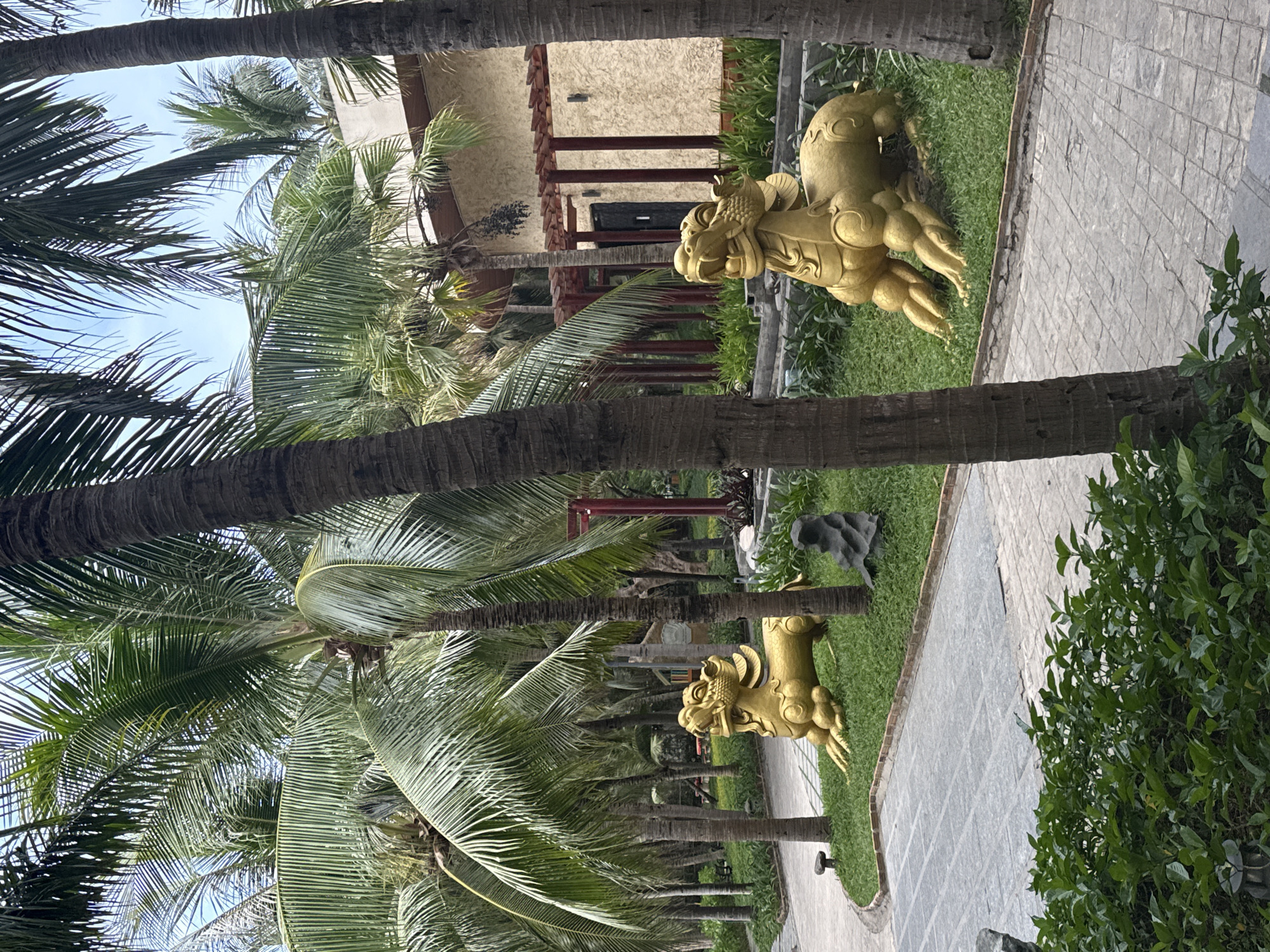 The image shows a pathway flanked by palm trees and greenery, leading towards a building in Nha Trang Ward, Vietnam. Two golden dragon-like statues stand on either side of the path. The pathway is paved with grey stone, and there are manicured bushes and grass. The trees are tall and thin. The sky is visible through the canopy of the palm trees. The building in the background has a reddish-brown and beige color scheme.