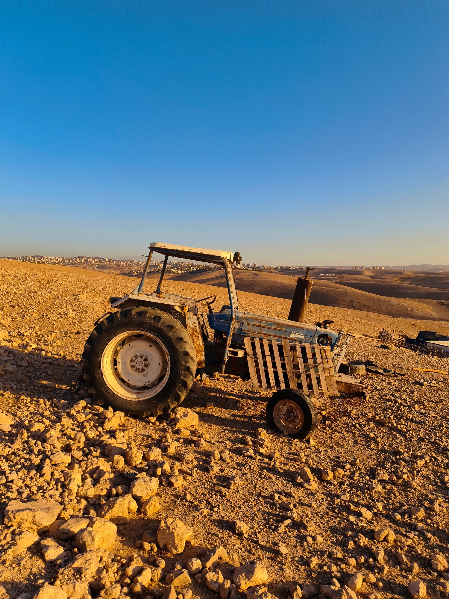 An old, blue and white tractor sits rusting in a barren, rocky landscape. The tractor is the primary subject of the image, with its large rear tire and worn metal body clearly visible. Behind the tractor, rolling, arid hills stretch into the distance, with a small town or settlement visible on the horizon, situated in the Palestinian Territories of Keidar. The sky above is a clear, vibrant blue, indicating a sunny day. The ground is covered in loose stones and sparse vegetation, characteristic of a desert or semi-arid environment. The lighting suggests the photo was taken during either sunrise or sunset, casting long shadows and bathing the scene in a warm, golden light. There are no people visible in the image, and the tractor appears to be abandoned. The overall impression is one of desolation and the passage of time.