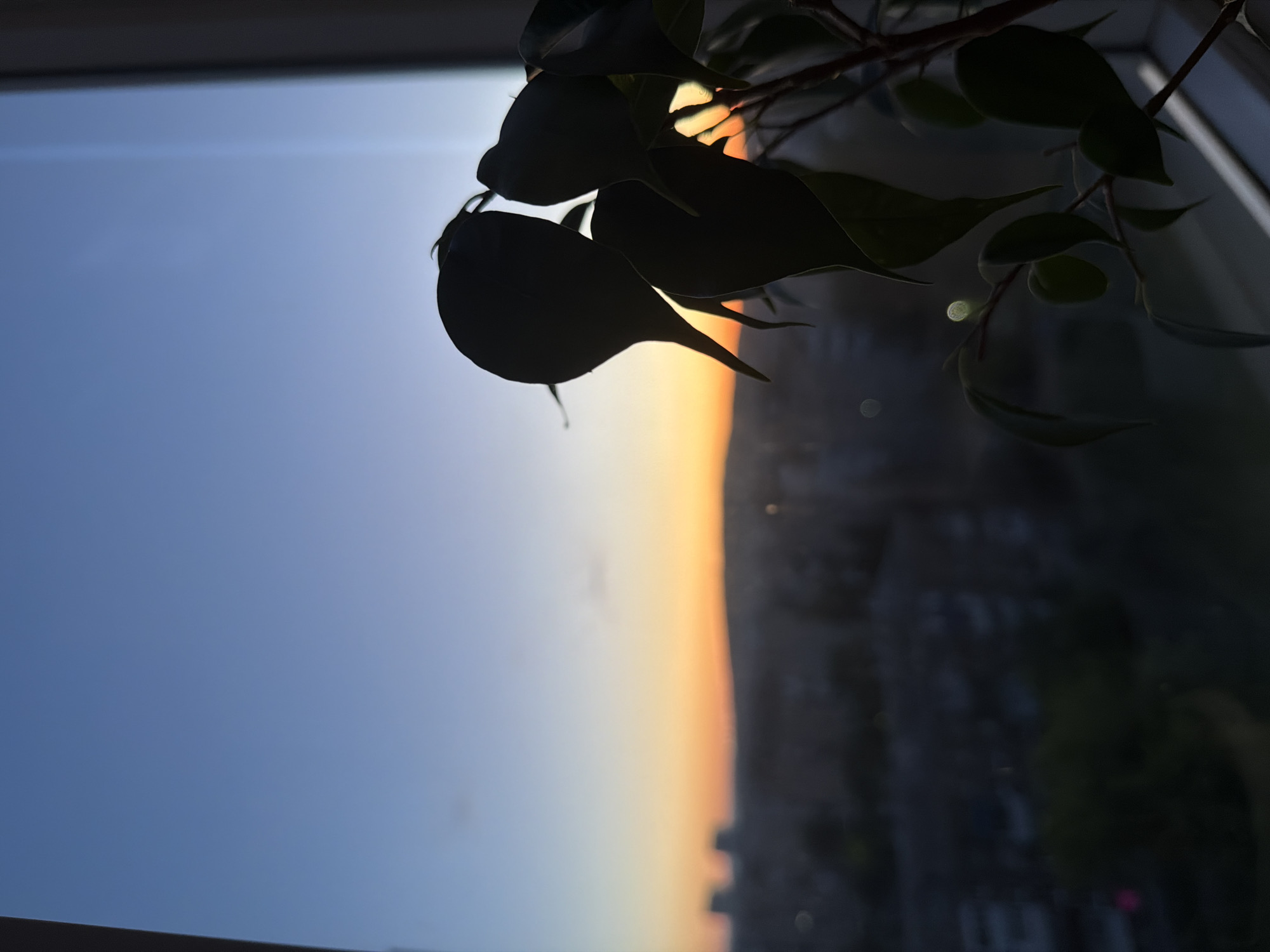 A dim photograph shows a branch with leaves hanging in front of a window. The leaves are silhouetted against the sky, which is a gradient of blue to orange, likely due to a sunrise or sunset. The landscape outside the window, including buildings, is heavily shadowed.