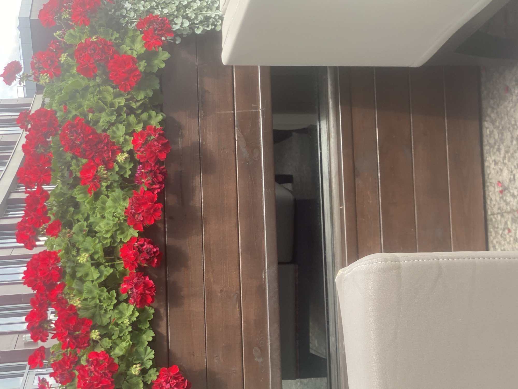 An outdoor scene with a planter box filled with vibrant red geraniums and green foliage. The planter box is constructed of dark brown wood planks. In the foreground, a portion of a light-colored upholstered chair is visible on the left, and another light-colored chair is partially visible on the right. A reflective surface, likely glass, is beneath the planter box, showing a blurred reflection of furniture and possibly a person. The background features a building with a modern facade of horizontal white and grey bands, suggesting an urban setting. The ground appears to be a textured gray surface. The overall impression is one of a well-maintained outdoor seating area in a city. This location is identified as Minsk, Belarus.