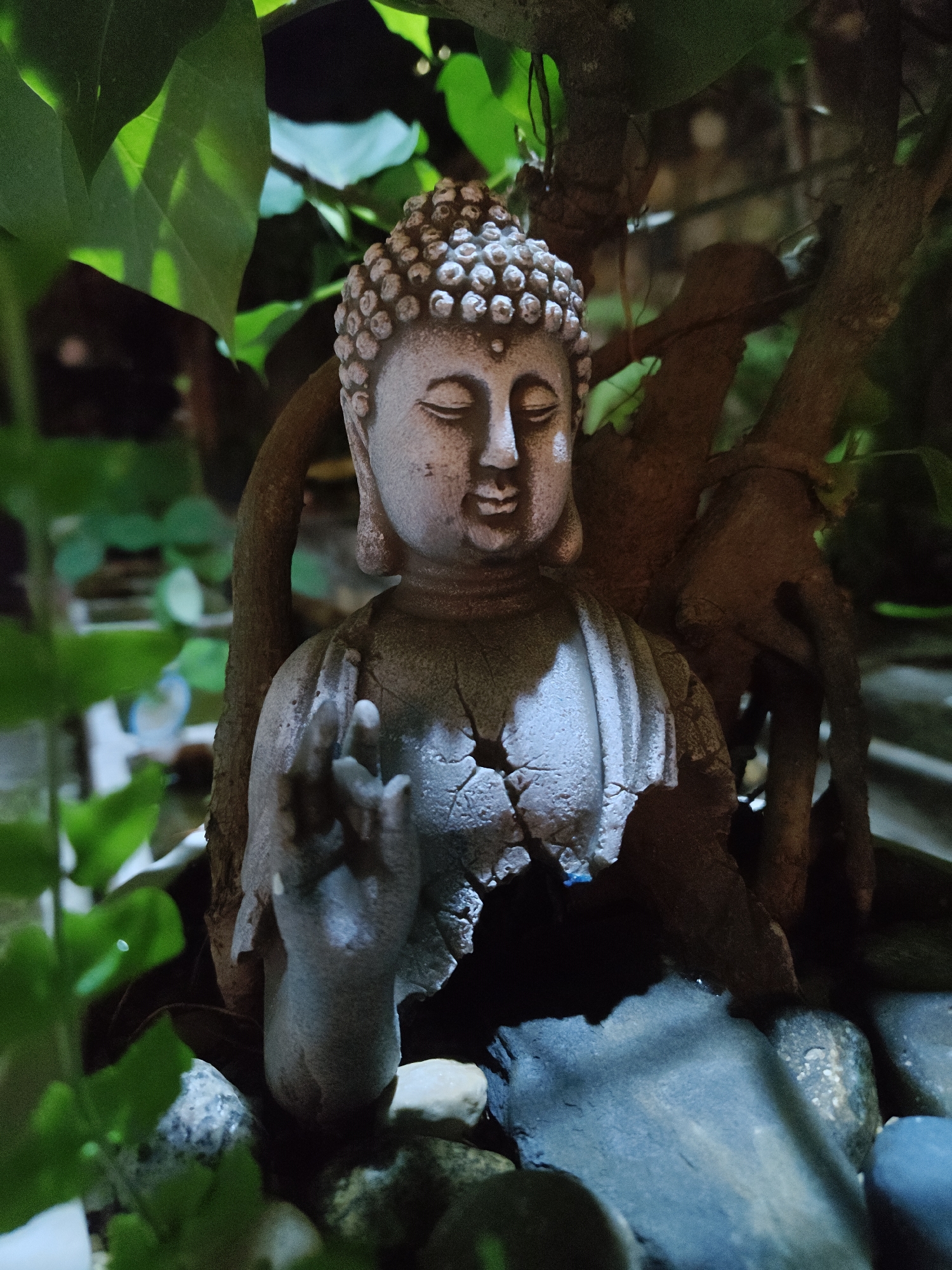 The image shows a cracked statue of Buddha, partially obscured by lush green foliage and intertwined tree roots. The statue is made of grey stone and is positioned amidst various rocks. The lighting suggests an outdoor setting, possibly a garden or a spiritual sanctuary. The background is dark, with hints of other objects or structures that are out of focus. The statue's serene expression contrasts with its damaged condition, creating a contemplative atmosphere. There is no information in the image to suggest this location is in Nha Trang, Vietnam.