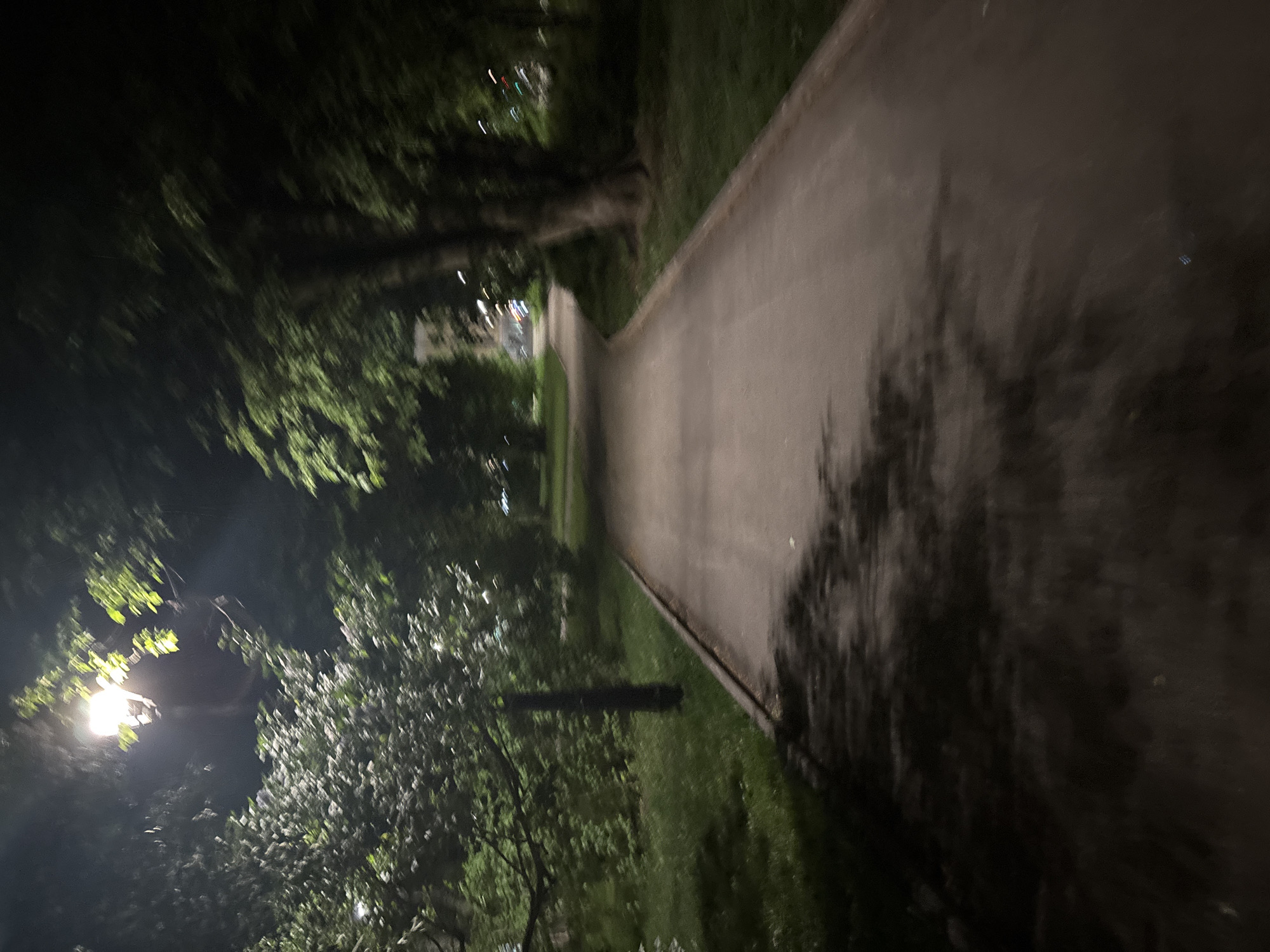 The image depicts a poorly lit park path at night. The path is made of asphalt and stretches into the distance. Trees and vegetation line both sides of the path, creating a dark, overgrown environment. A street lamp is visible on the left side of the frame, casting light on the surrounding foliage. The scene is blurry and lacks detail. This location is likely in the city of Perm, Russia.